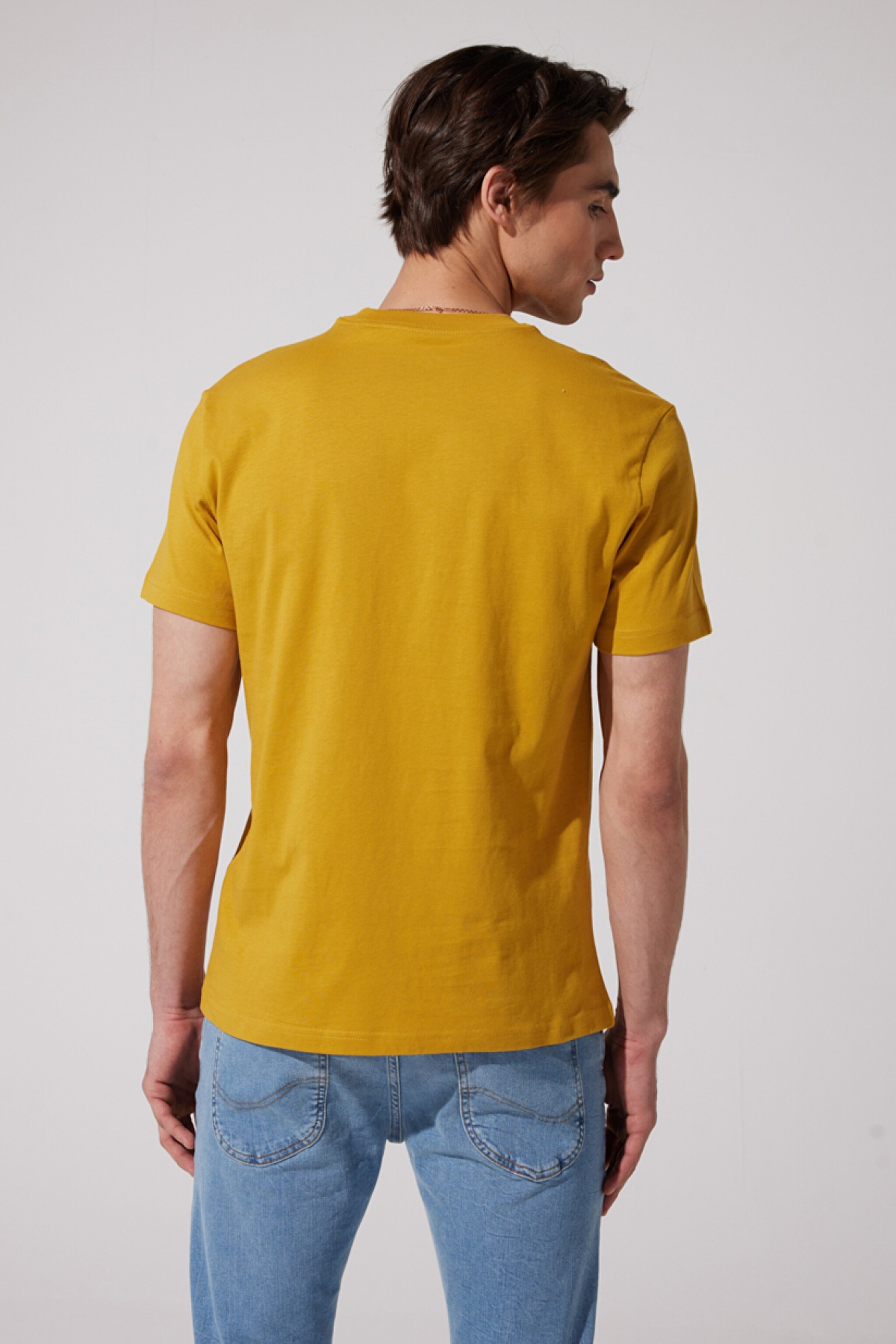 Regular Fit Normal Kesim %100 Pamuk Bisiklet Yaka Sarı Tişört - Yellow-L211918200 (görsel 5)