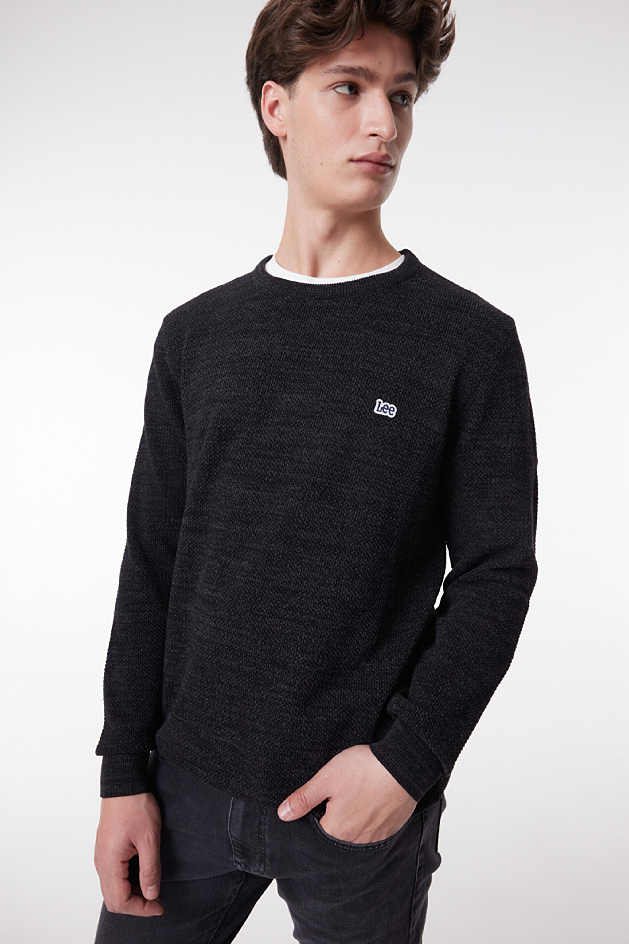 Regular Fit Normal Kesim Sıfır Yaka Triko - Anthracite-L212149003