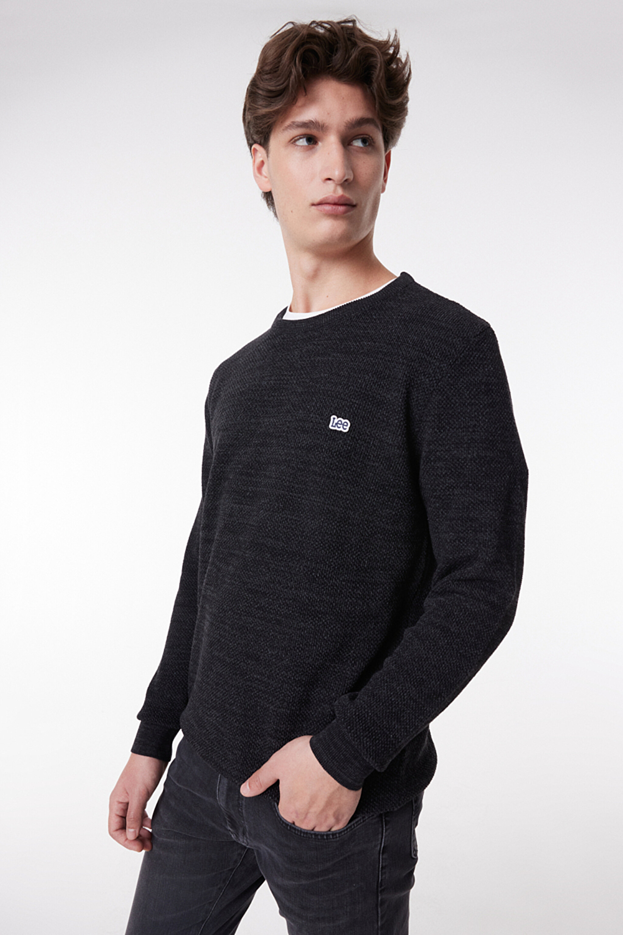 Regular Fit Normal Kesim Sıfır Yaka Triko - Anthracite-L212149003 (görsel 4)