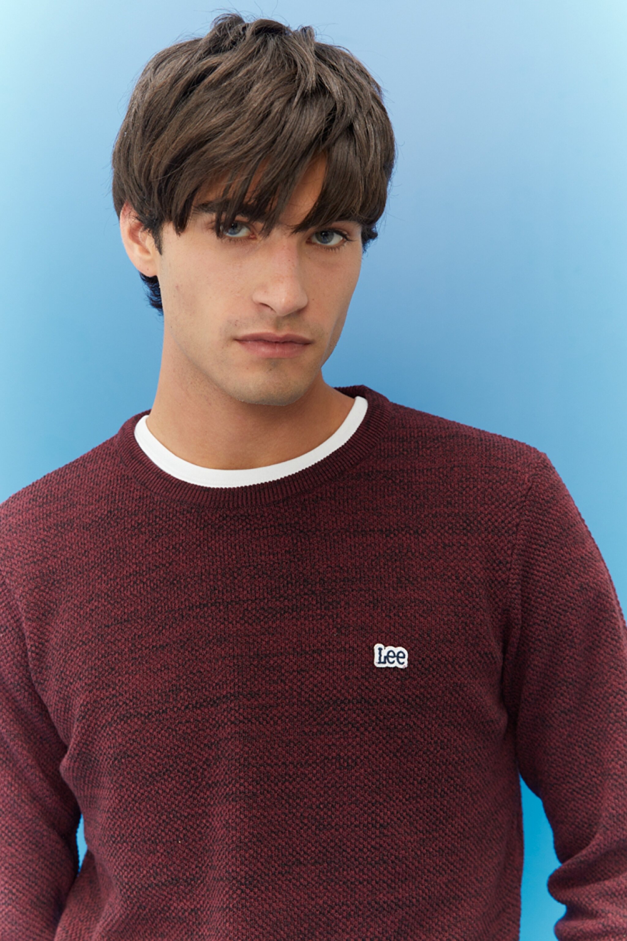 Regular Fit Normal Kesim Sıfır Yaka Triko - Wine-L212149810 (görsel 2)