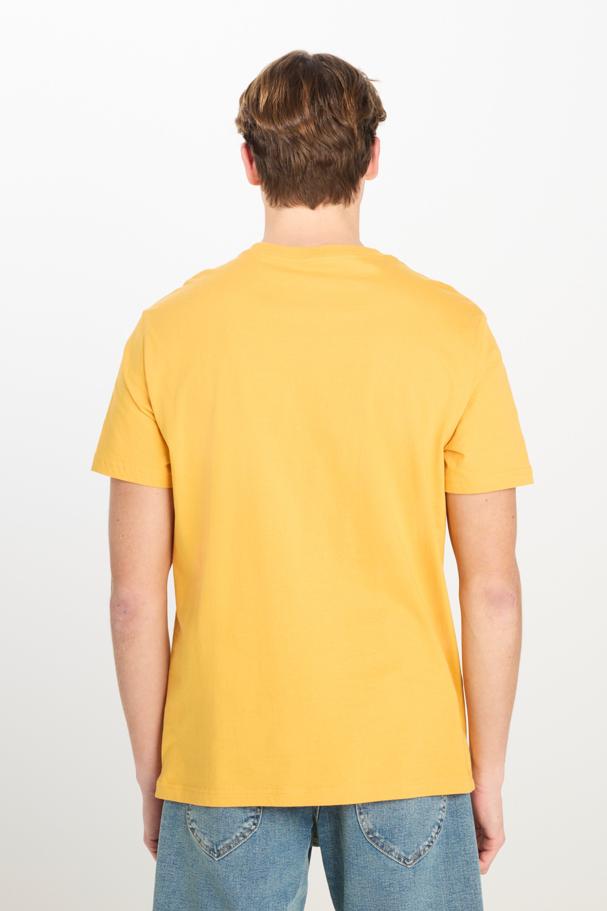 Regular Fit Rahat Kesim %100  Pamuk Kısa Kollu Crew Neck Tişört - Mustard-L221069210 (görsel 5)