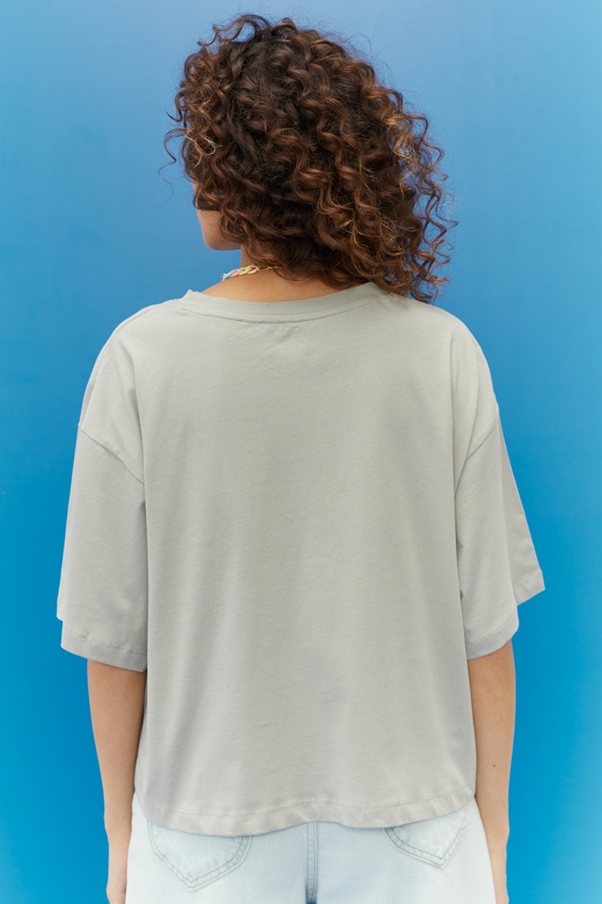 Regular Fit Normal Kesim %100 Pamuk Bisiklet Yaka Tişört - Gray-L221136035 (görsel 5)