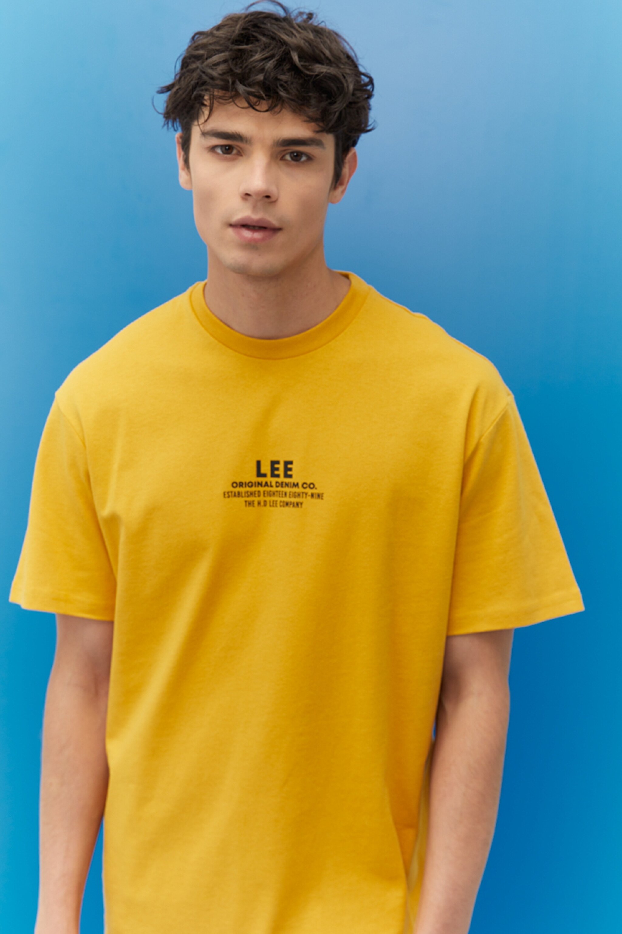 Loose Fit Rahat Kesim %100 Pamuk Bisiklet Yaka Sarı Tişört - Yellow-L222005200 (görsel 3)