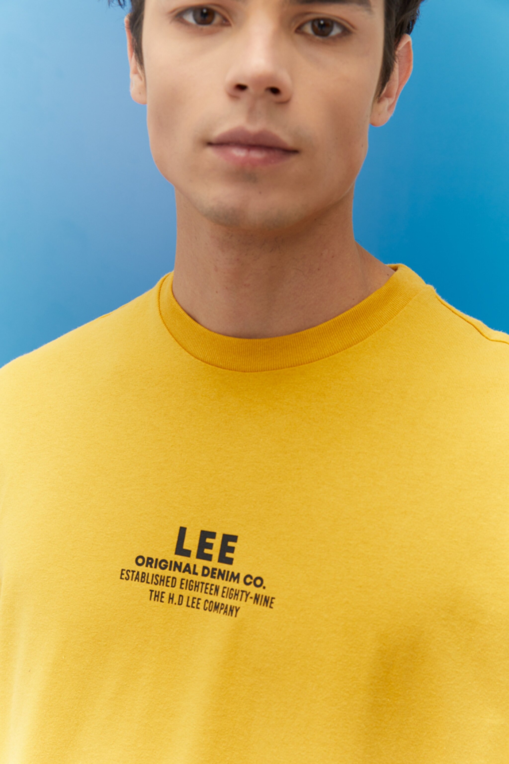 Loose Fit Rahat Kesim %100 Pamuk Bisiklet Yaka Sarı Tişört - Yellow-L222005200 (görsel 4)