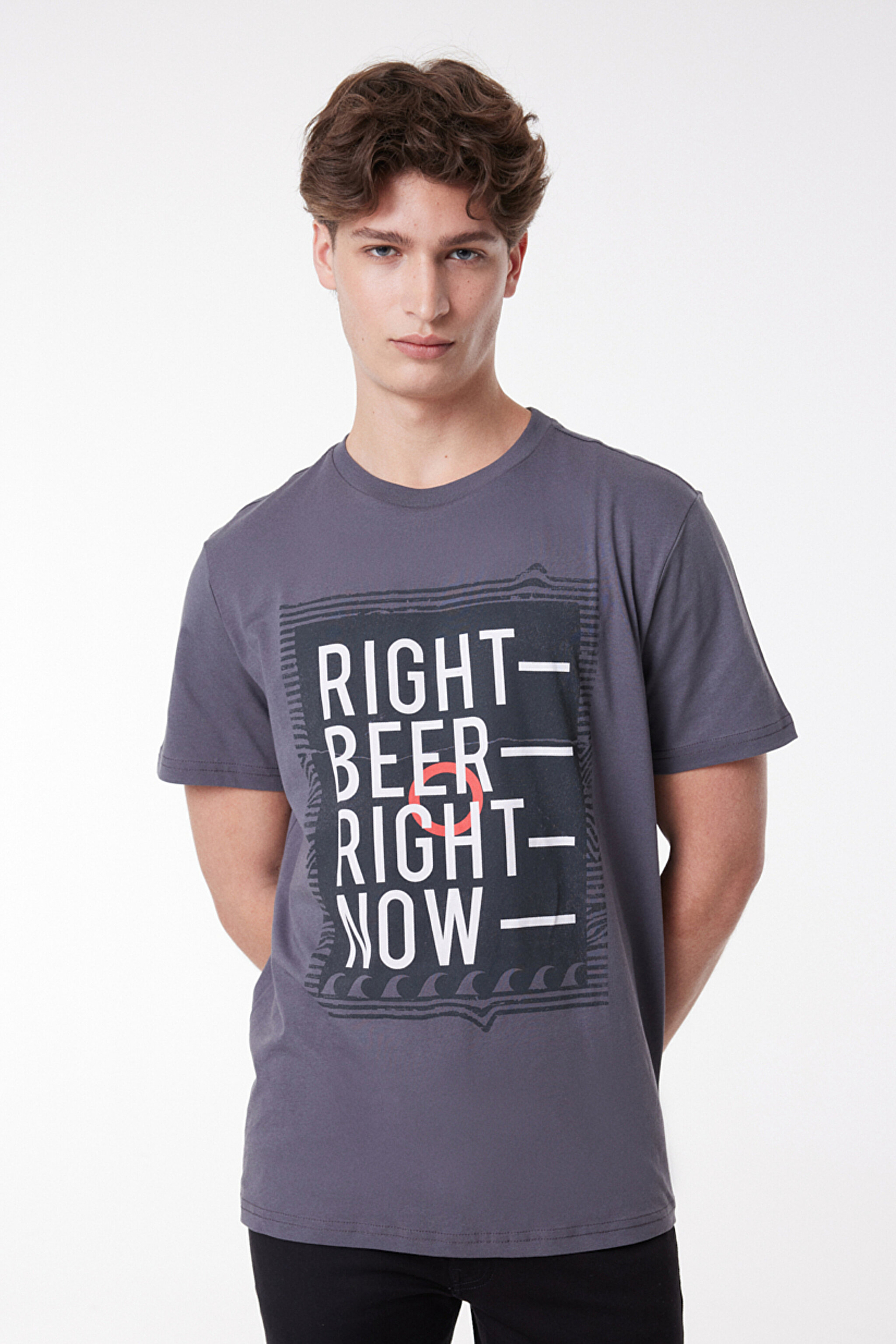 Regular Fit Rahat Kesim %100 Pamuk Bisiklet Yaka Kısa Kollu Tişört - Anthracite-L222608003 (görsel 4)