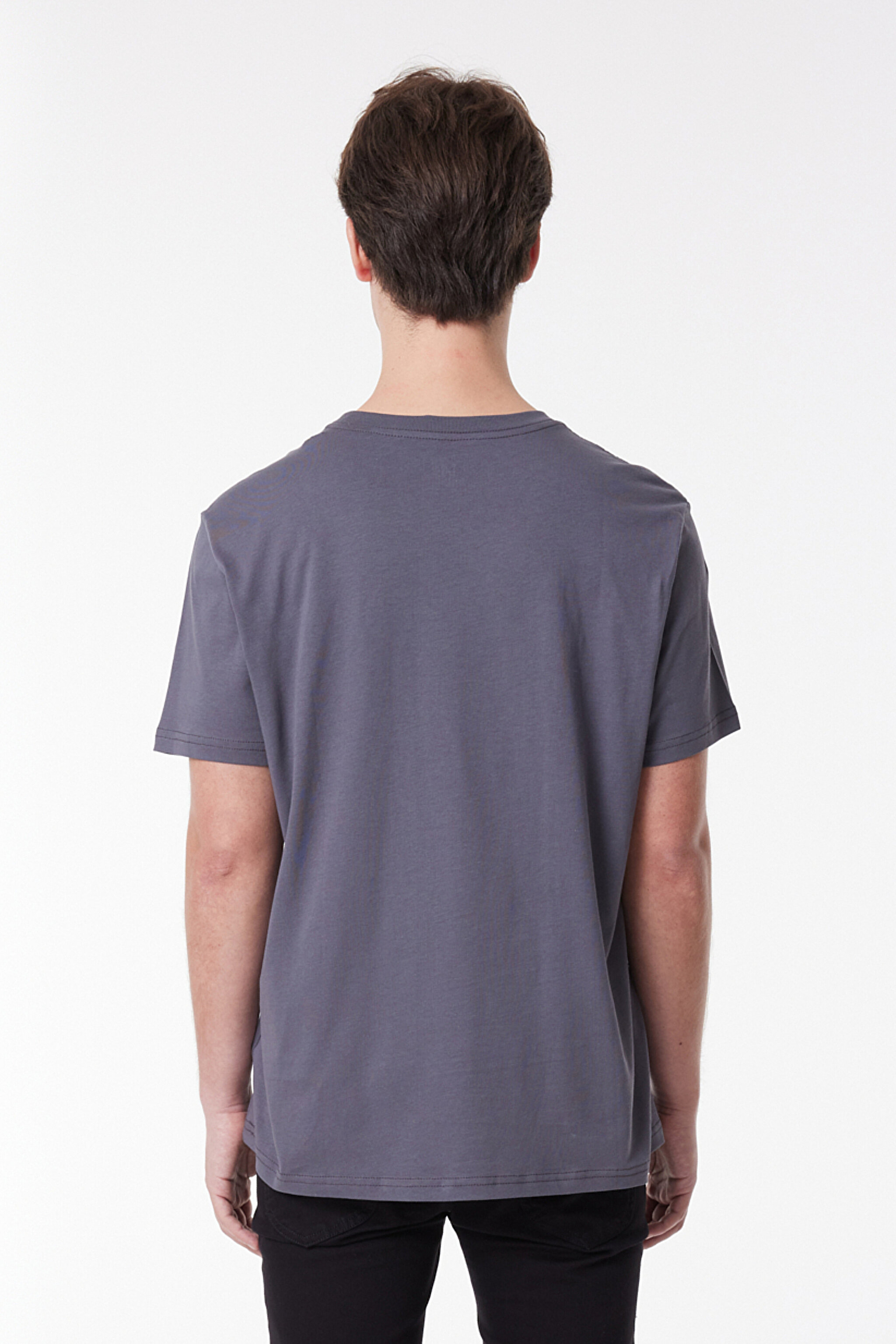 Regular Fit Rahat Kesim %100 Pamuk Bisiklet Yaka Kısa Kollu Tişört - Anthracite-L222608003 (görsel 5)