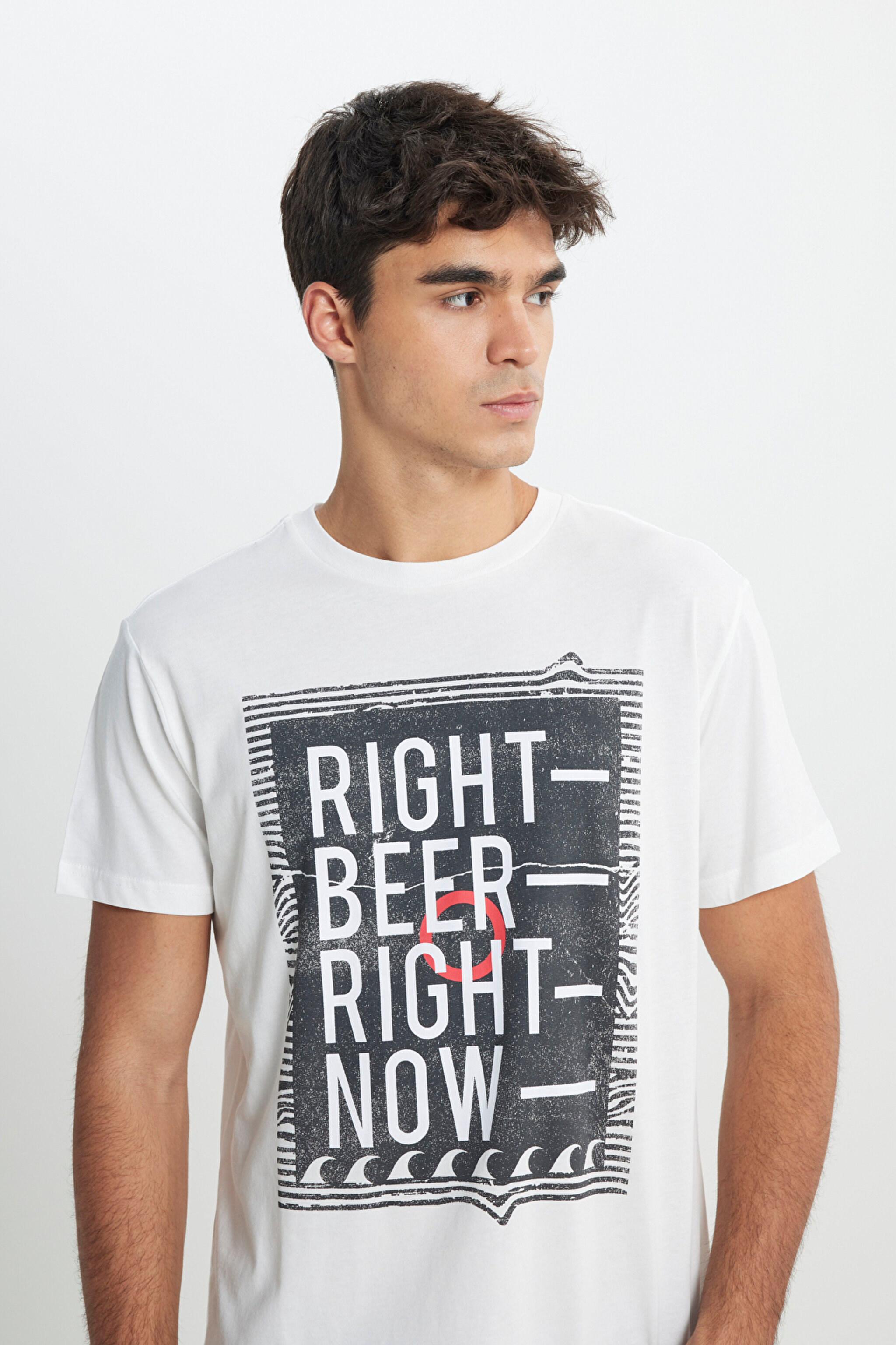 Regular Fit Normal Kesim %100 Pamuk Bisiklet Yaka Tişört - Off White-L222608102 (görsel 3)