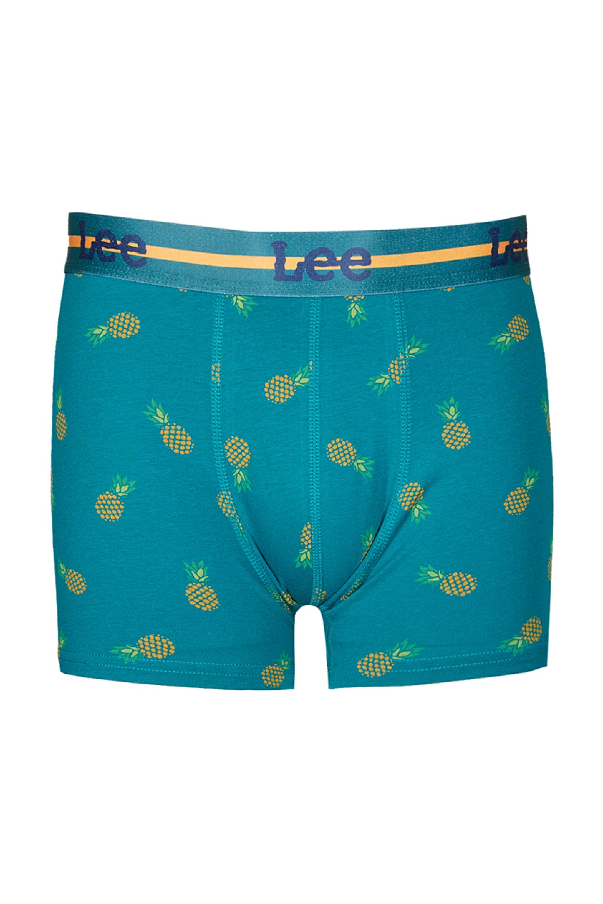 Regular Fit Normal Kesim Desenli Tekli Boxer - Green-L231729300