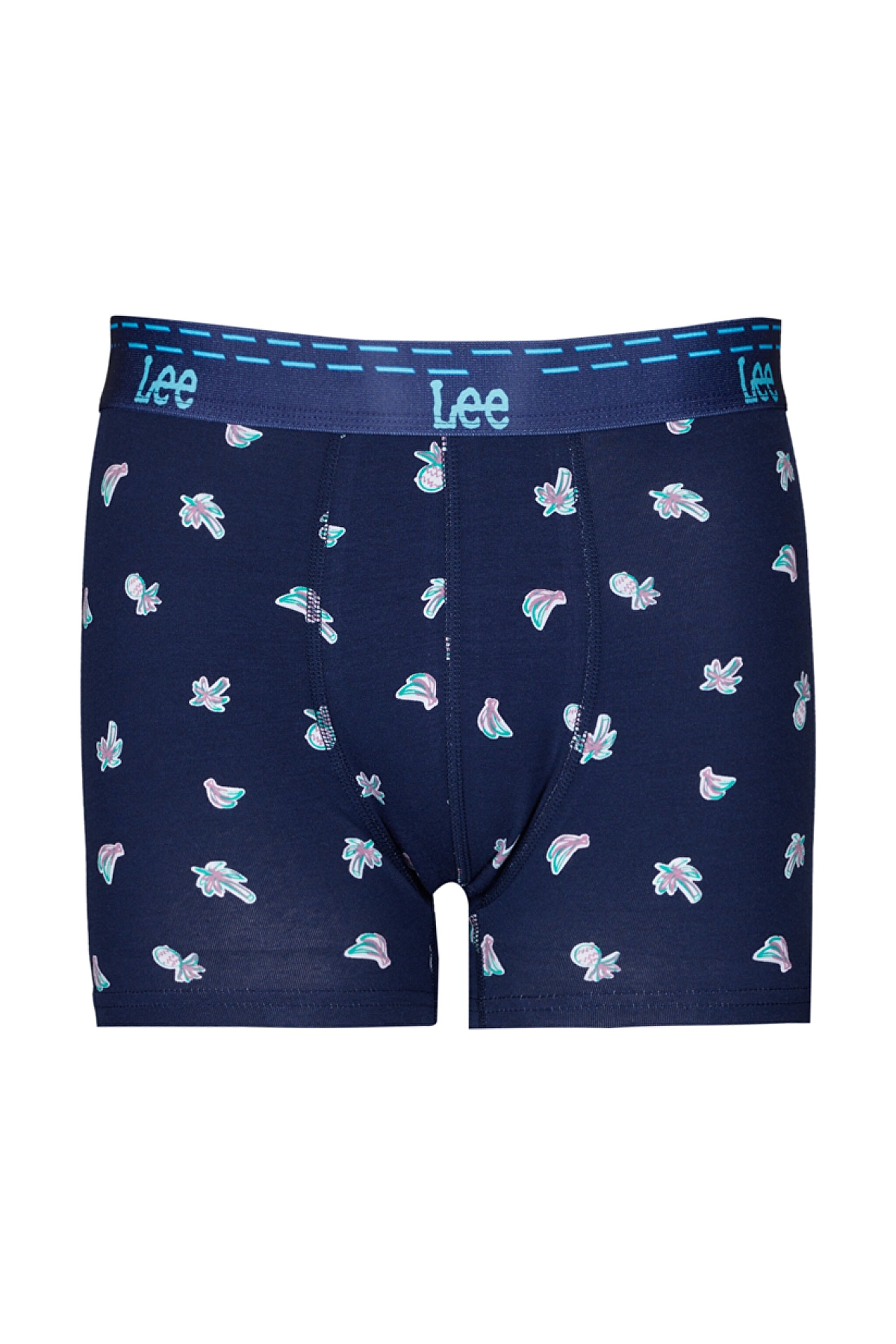 Regular Fit Normal Kesim Lacivert Tekli Boxer