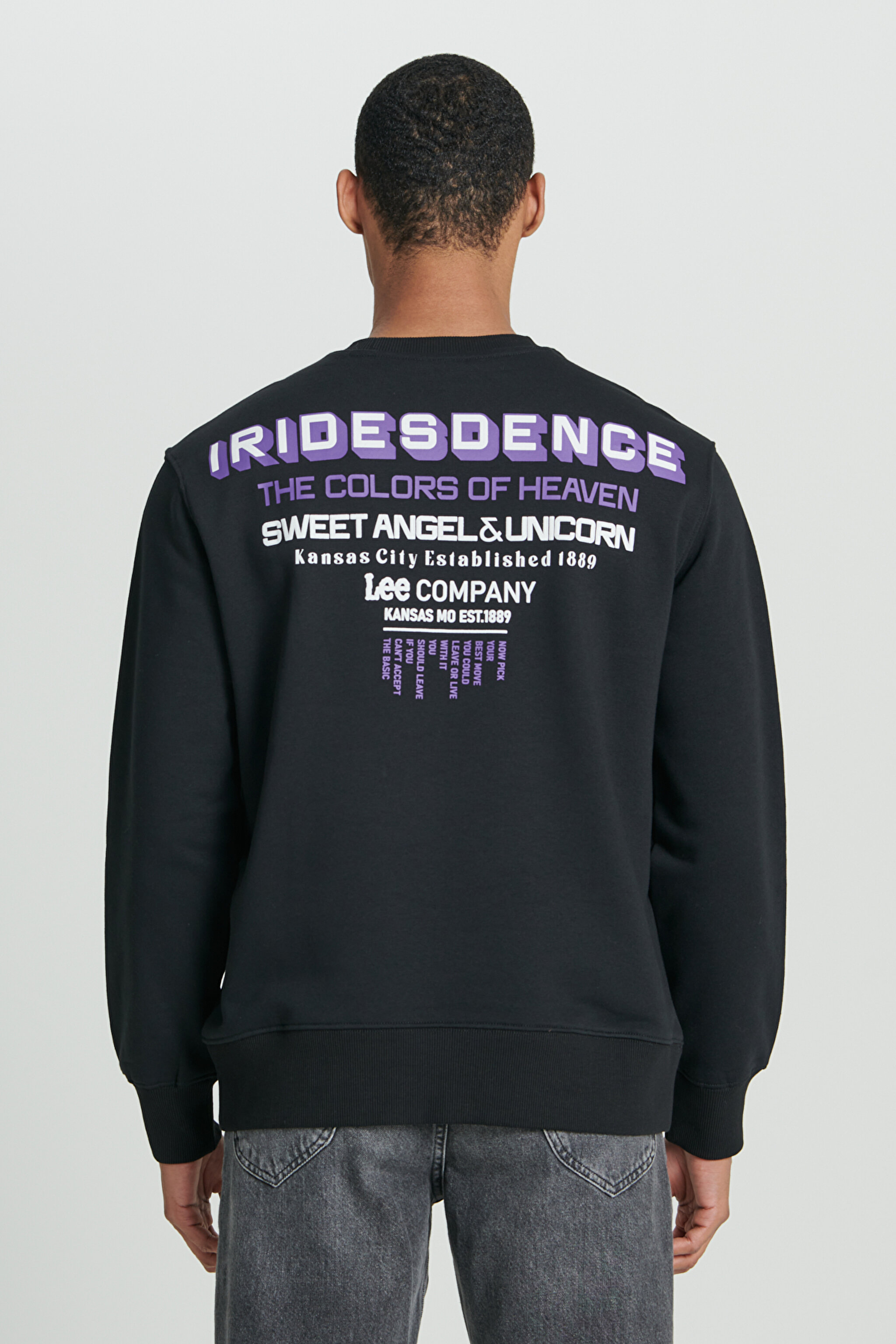 Regular Fit Normal Kesim Bisiklet Yaka Şardonlu Siyah Sweatshirt - Black-L232294001 (görsel 2)