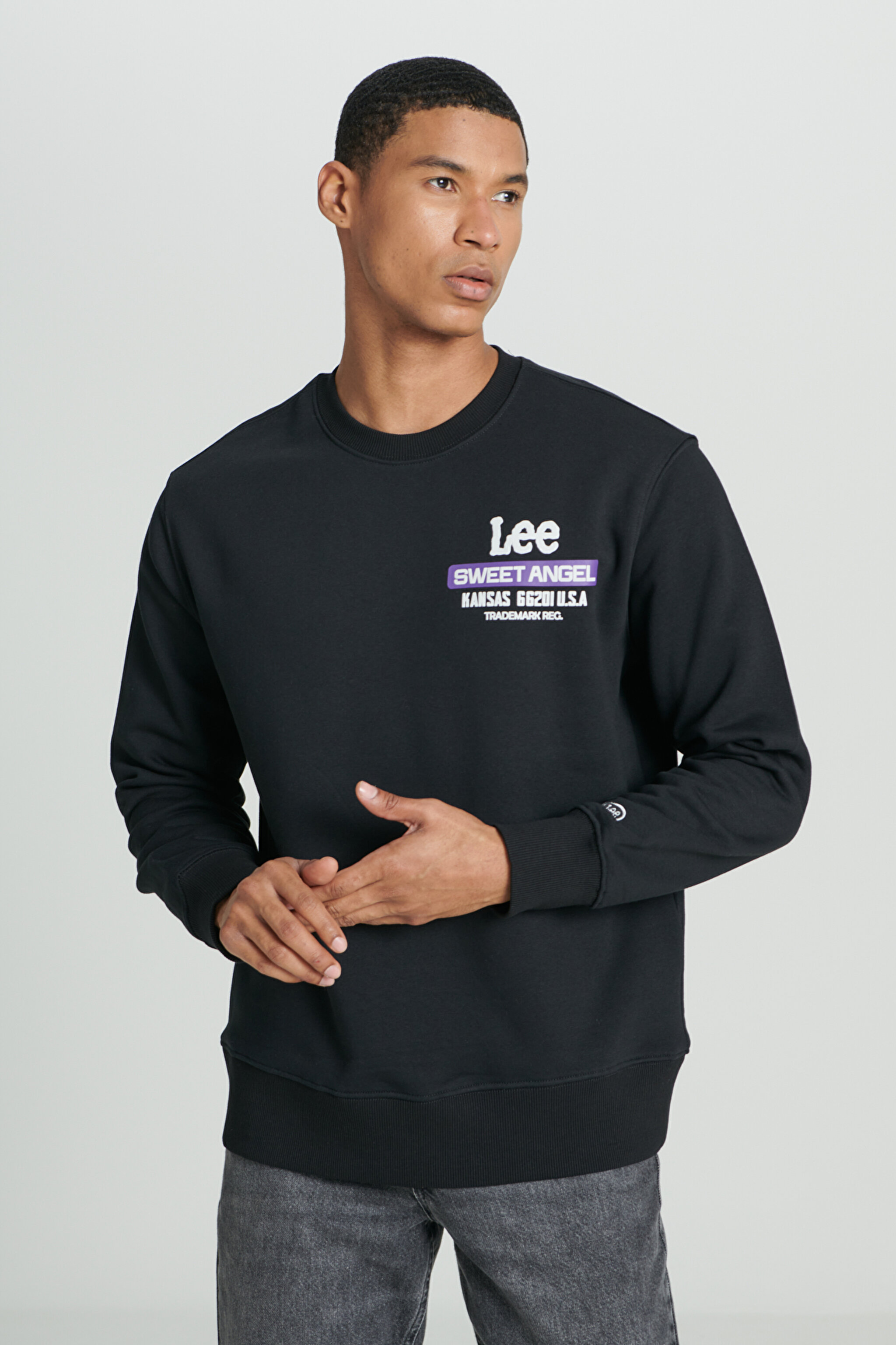 Regular Fit Normal Kesim Bisiklet Yaka Şardonlu Siyah Sweatshirt - Black-L232294001 (görsel 3)