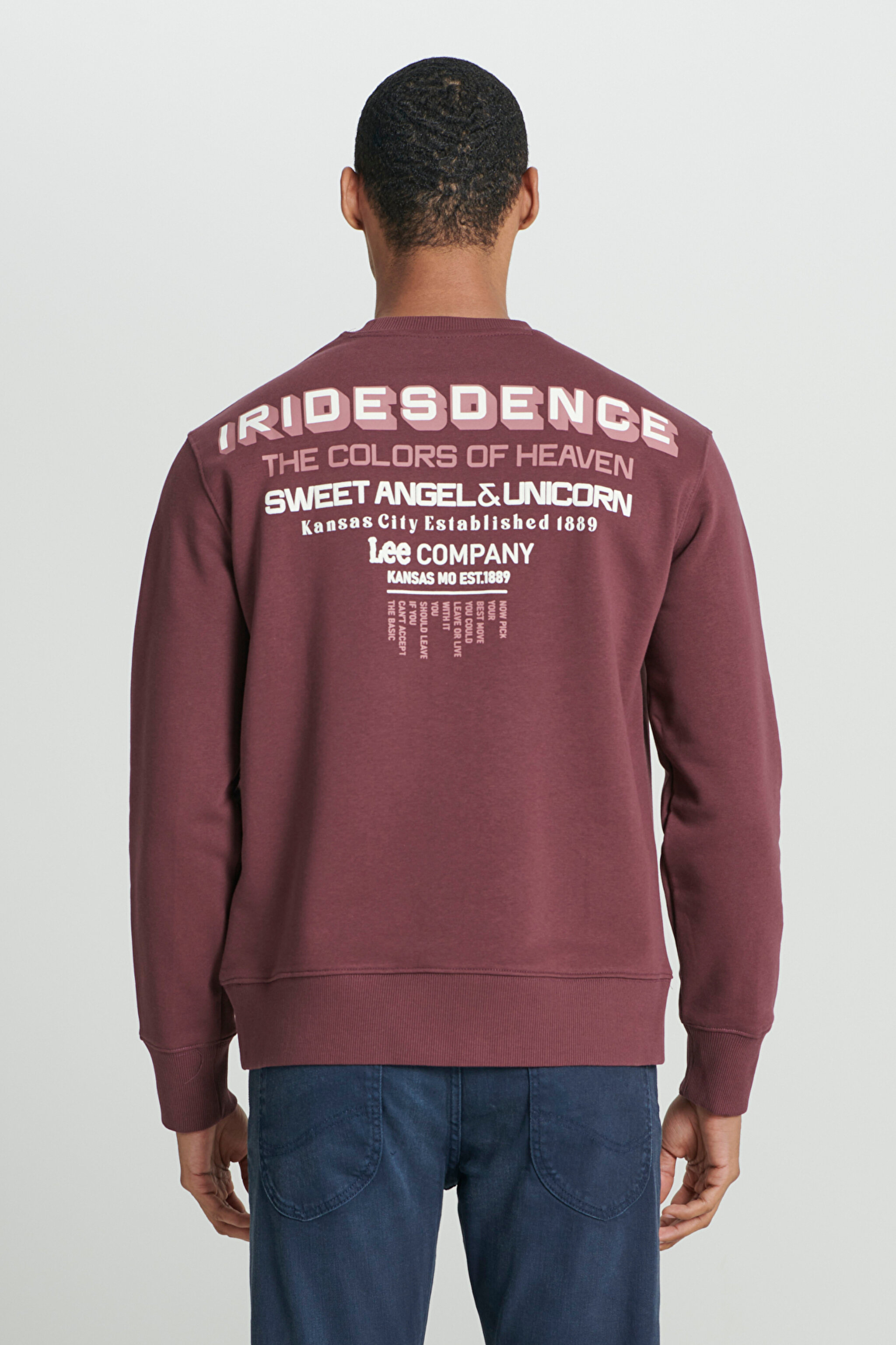 Regular Fit Normal Kesim Bisiklet Yaka Şardonlu Bordo Sweatshirt - Dark Wine-L232294838 (görsel 2)