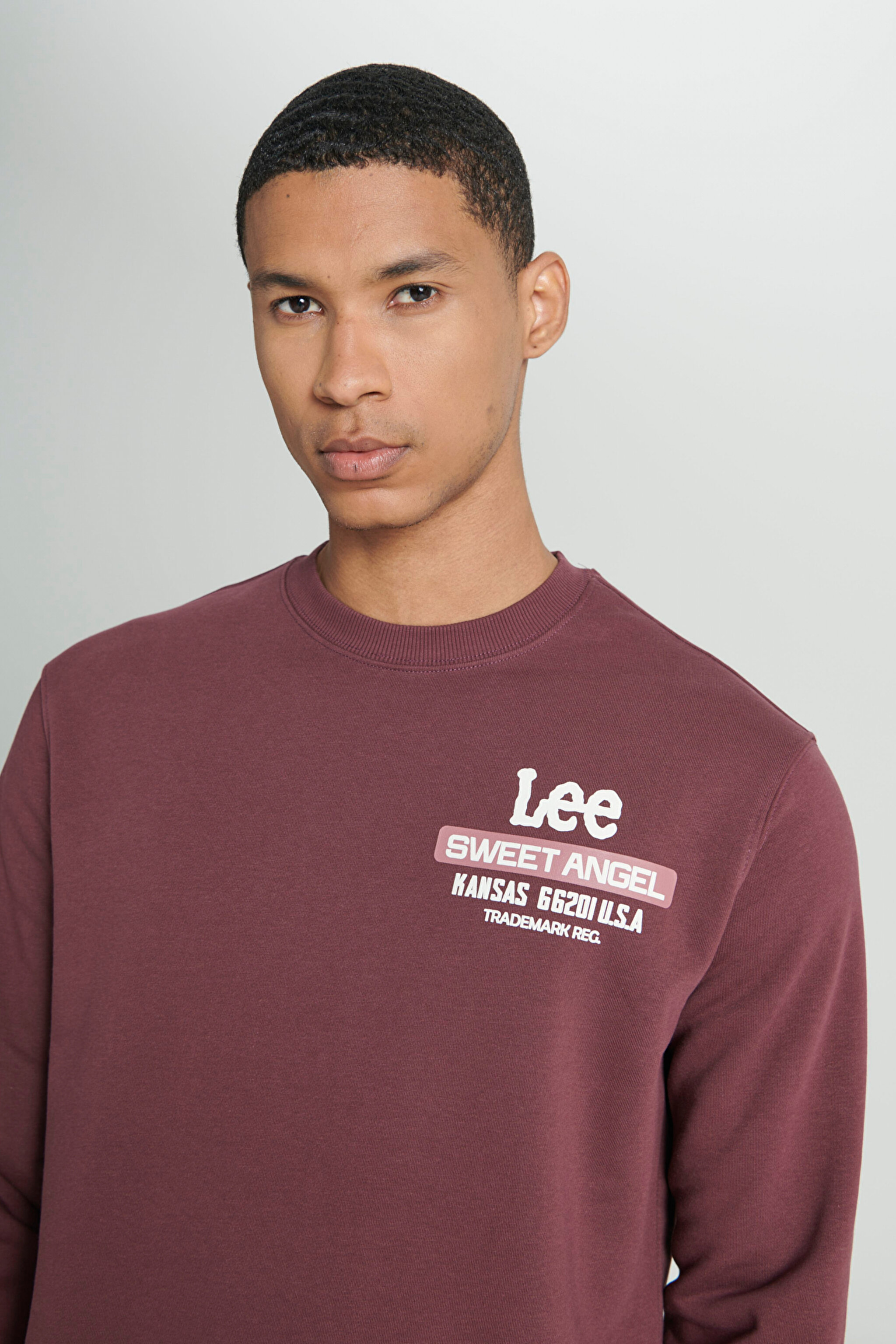 Regular Fit Normal Kesim Bisiklet Yaka Şardonlu Bordo Sweatshirt - Dark Wine-L232294838 (görsel 6)