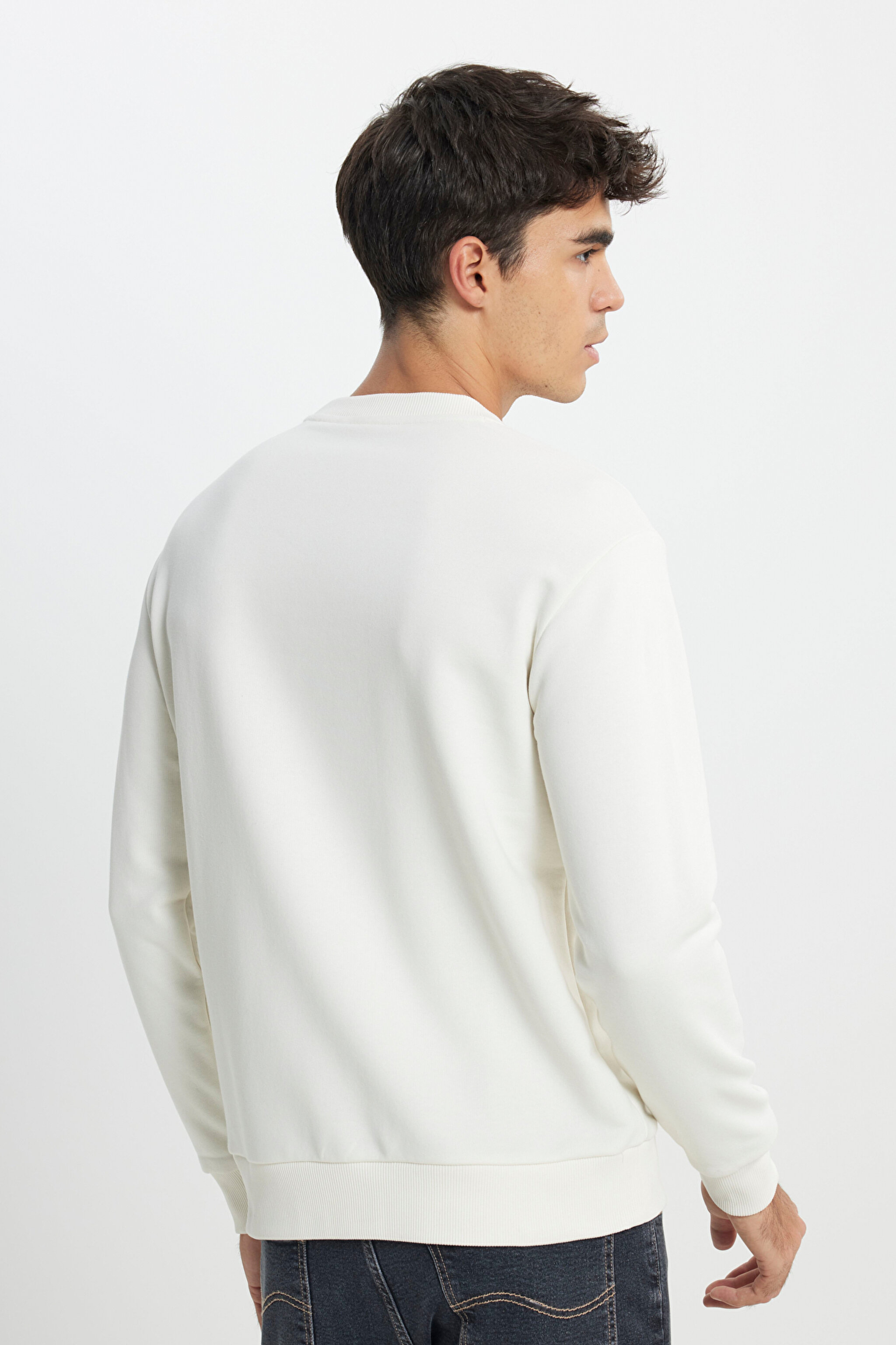Regular Fit Normal Kesim Bisiklet Yaka Kırık Beyaz Sweatshirt - Off White-L232501102 (görsel 5)