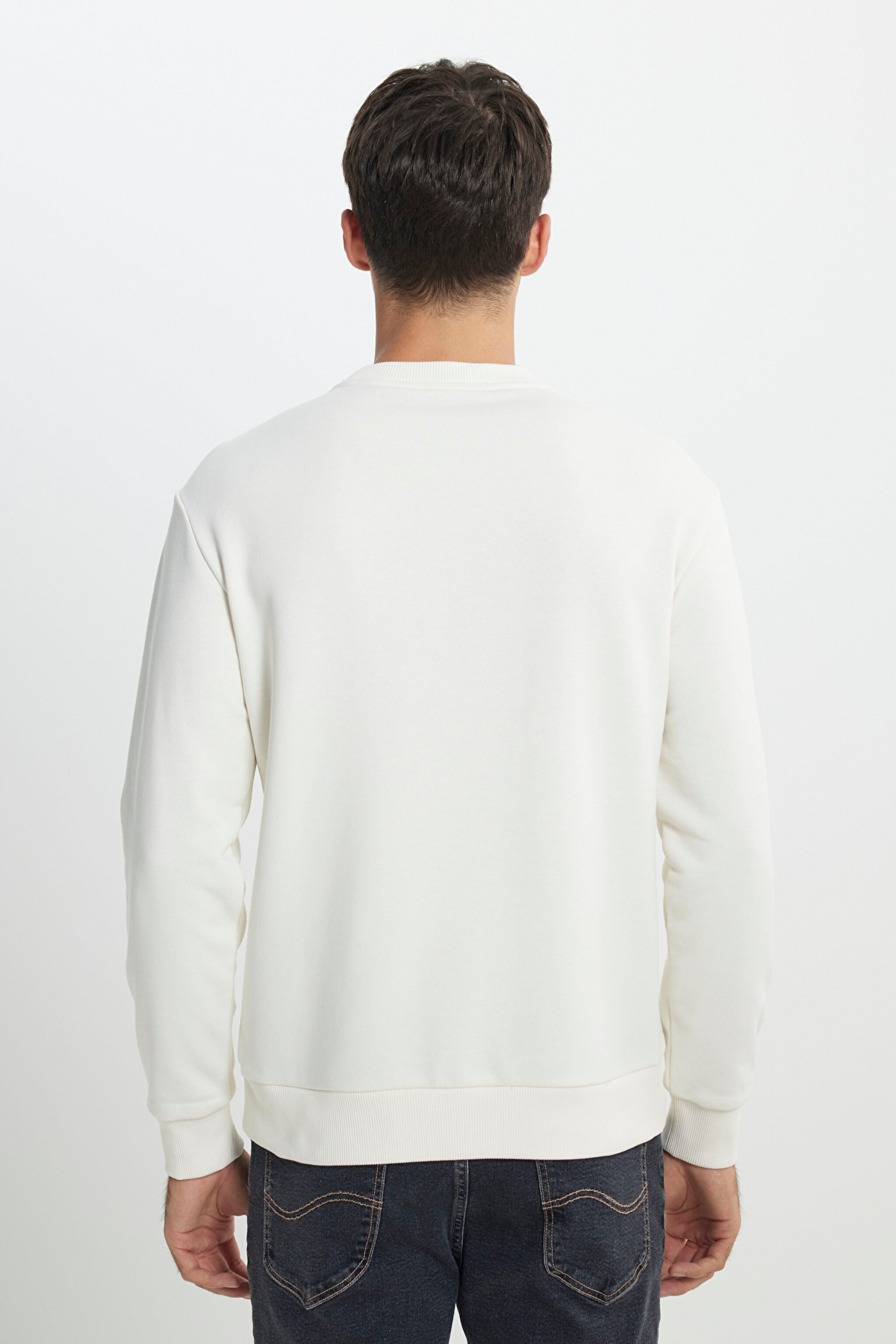 Regular Fit Normal Kesim Bisiklet Yaka Kırık Beyaz Sweatshirt - Off White-L232501102 (görsel 6)
