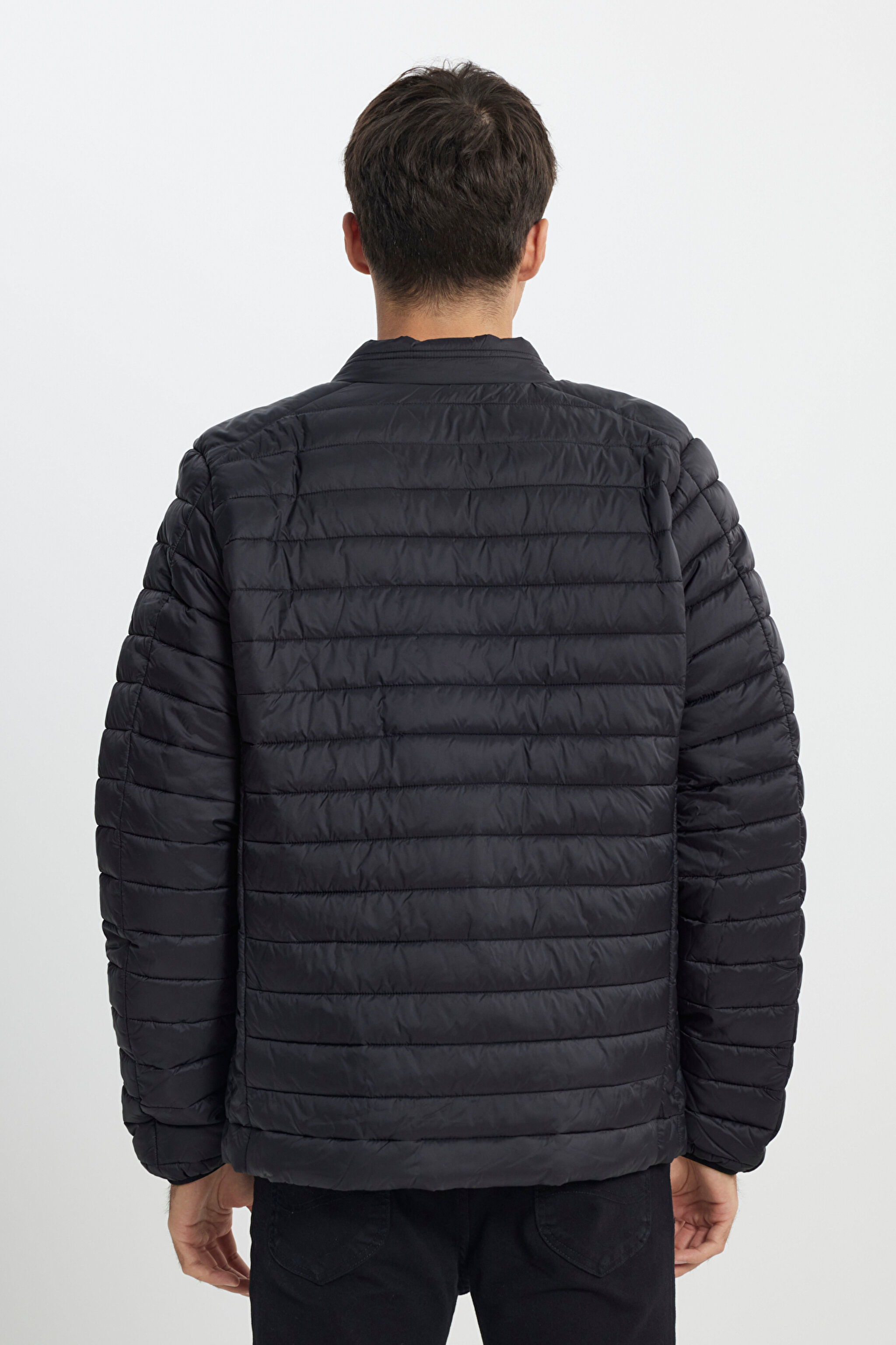 Regular Fit Normal Kesim Dik Yaka Kapitoneli Siyah Şişme Ceket - Black-L232521001 (görsel 7)