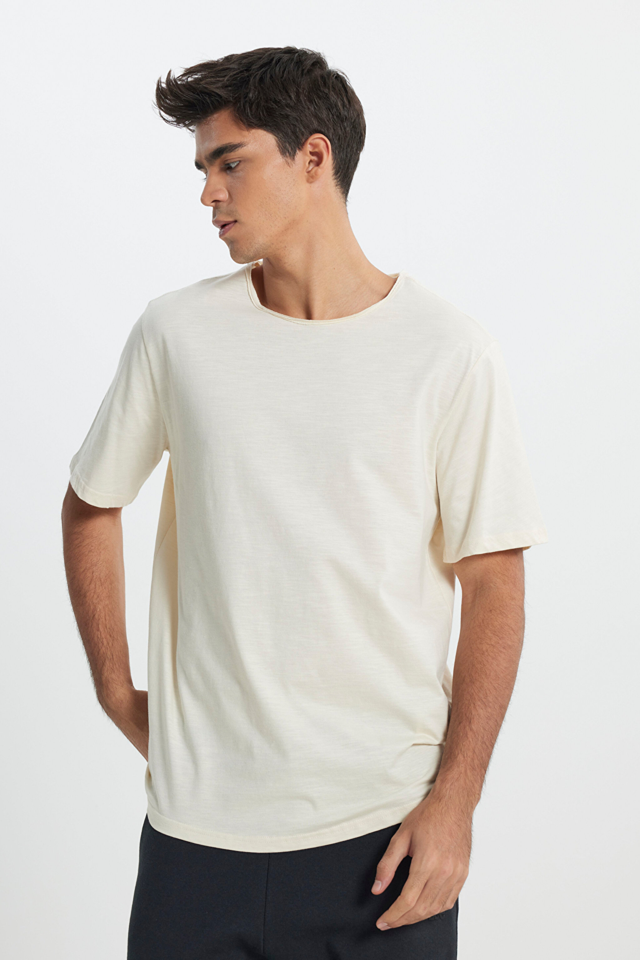 Regular Fit Normal Kesim Bisiklet Yaka %100 Pamuk Bej Tişört - Beige-L241570614 (görsel 2)