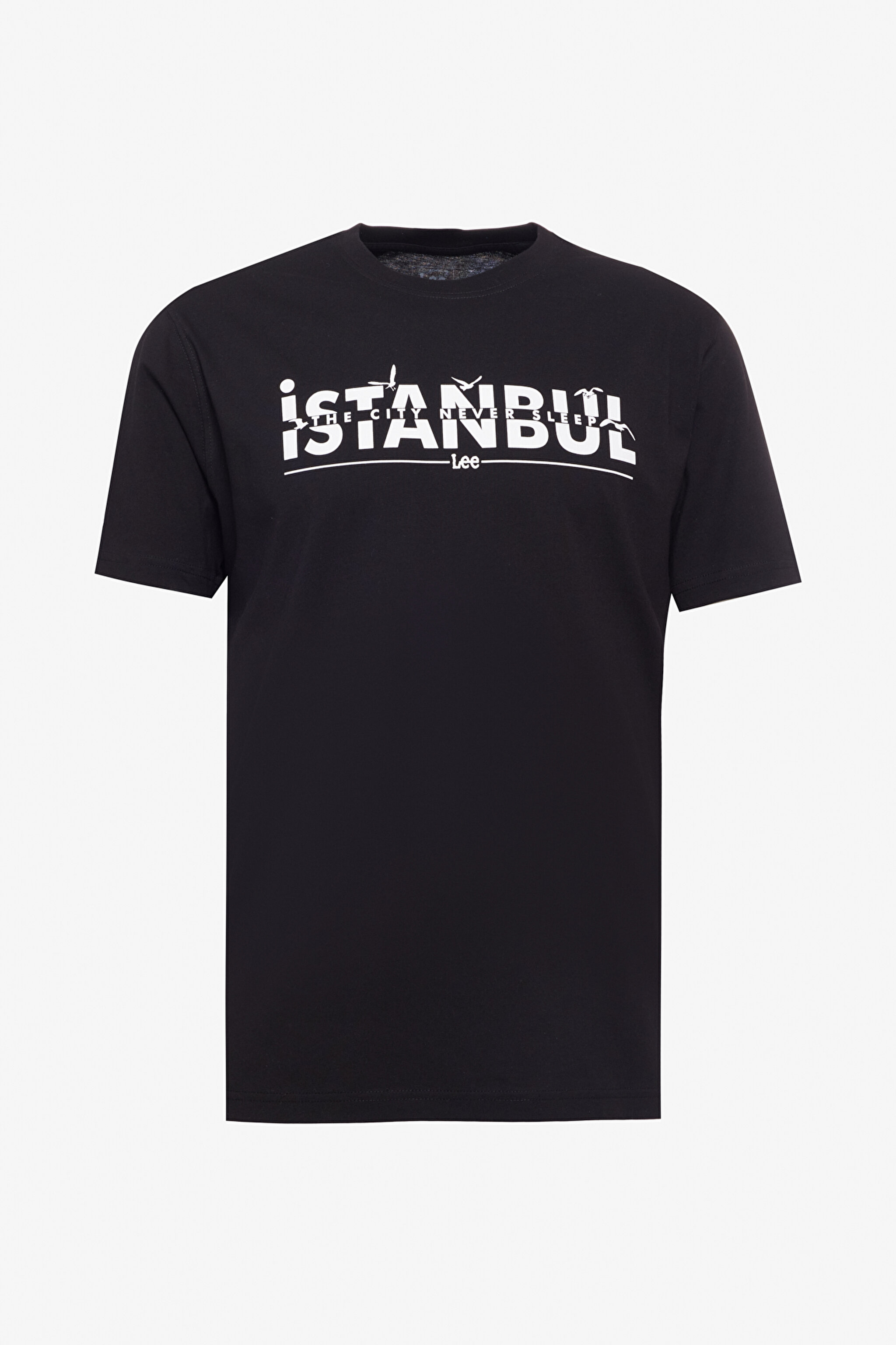 Regular Fit Normal Kesim Bisiklet Yaka %100 Pamuk Siyah Tişört - Black-L241576001 (görsel 6)