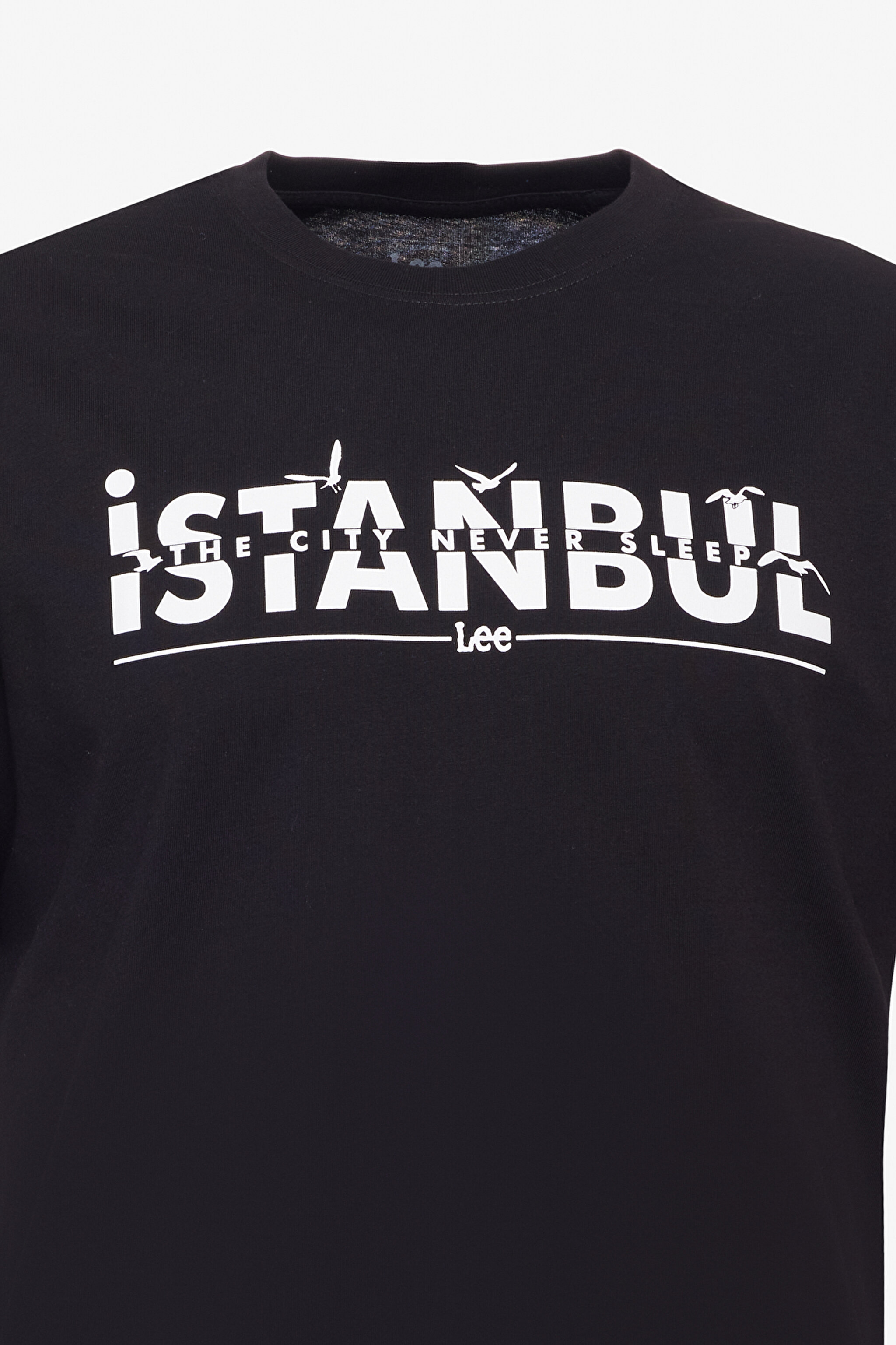 Regular Fit Normal Kesim Bisiklet Yaka %100 Pamuk Siyah Tişört - Black-L241576001 (görsel 7)