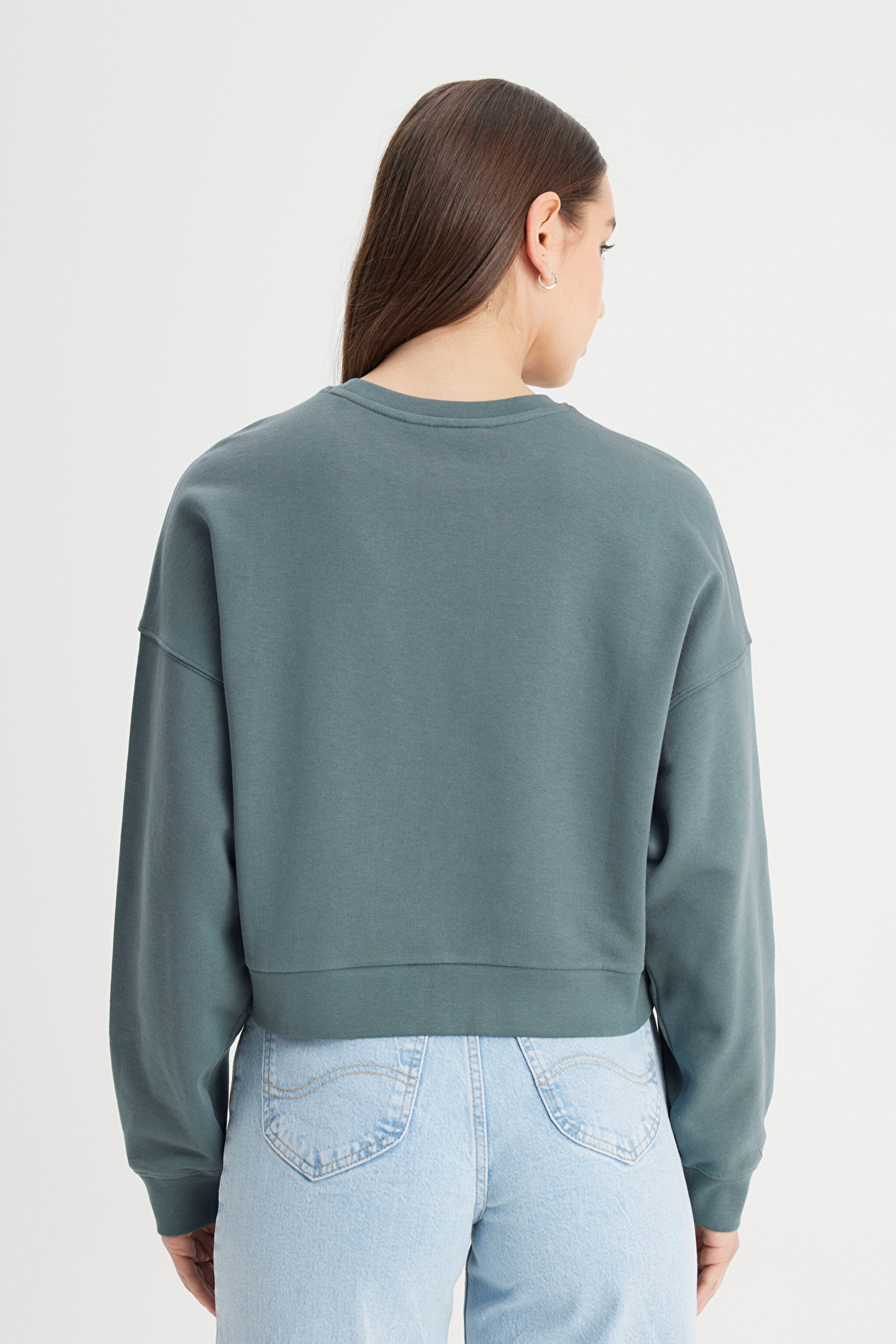 Regular Fit Normal Kesim Bisiklet Yaka %100 Pamuk Yeşil Sweatshirt - Green-L241637300 (görsel 5)