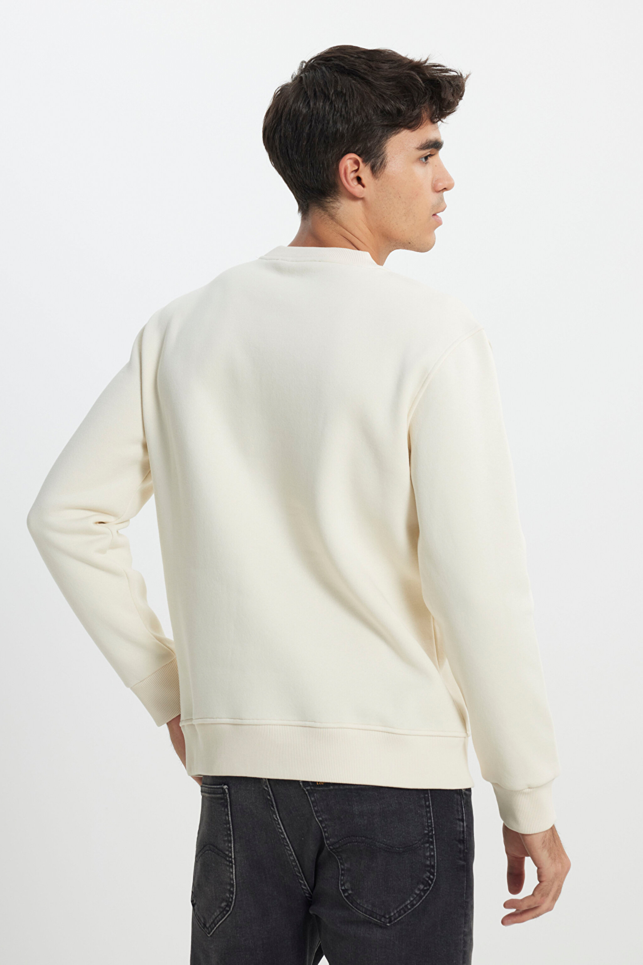 Regular Fit Normal Kesim Bisiklet Yaka İçi Polarlı Ekru Sweatshirt - Ecru-L242166104 (görsel 4)