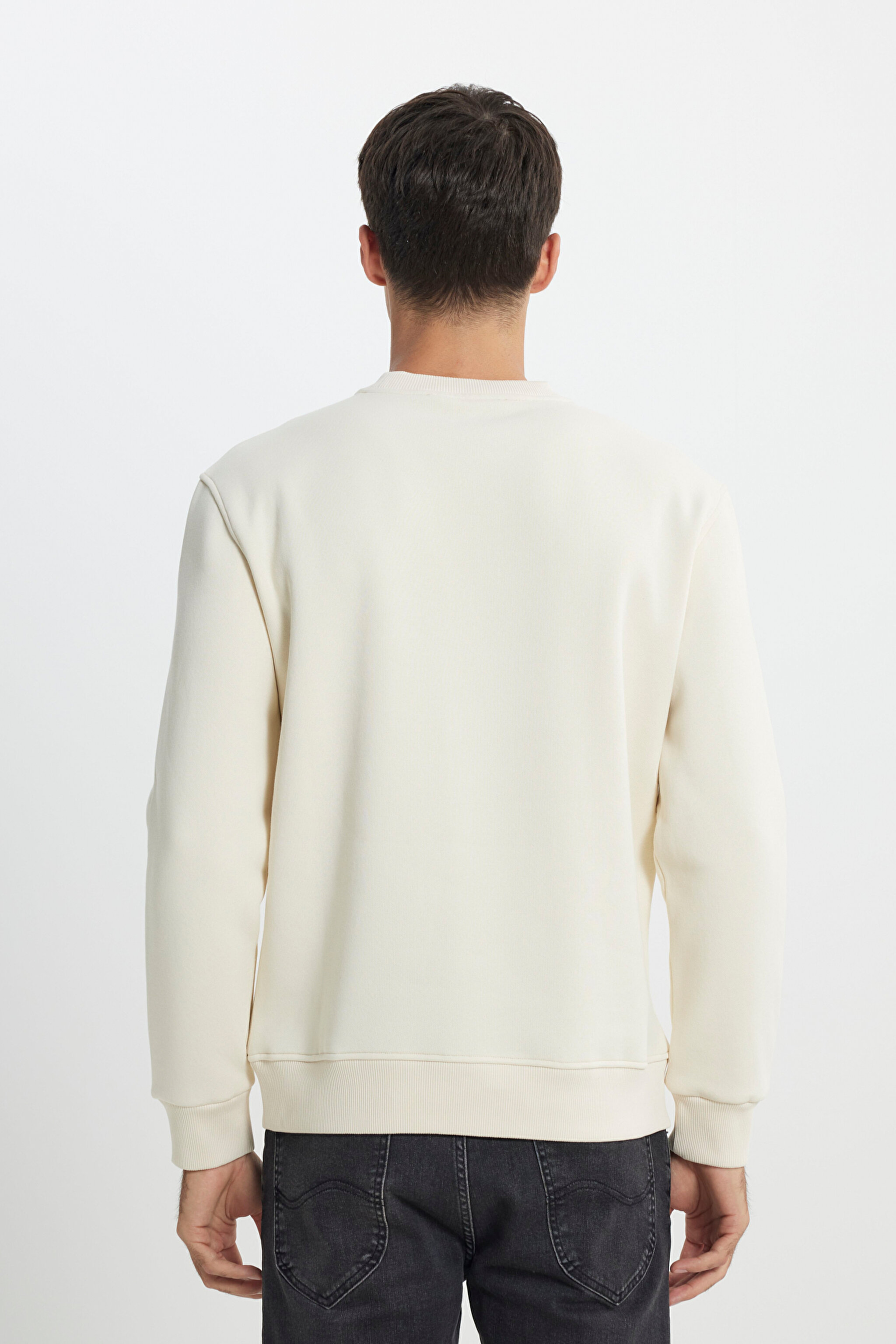Regular Fit Normal Kesim Bisiklet Yaka İçi Polarlı Ekru Sweatshirt - Ecru-L242166104 (görsel 5)