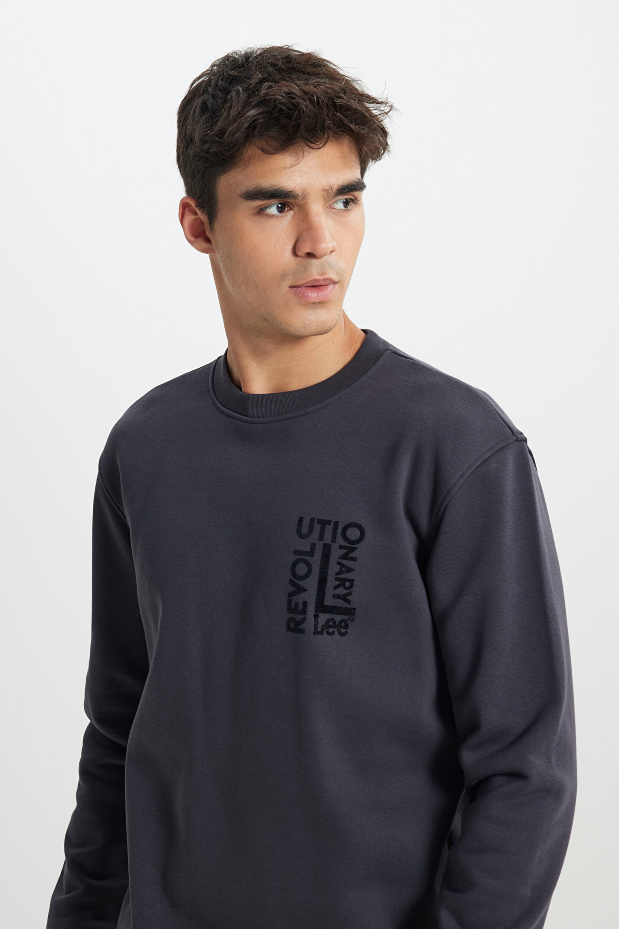 Regular Fit Normal Kesim Bisiklet Yaka İçi Polarlı Antrasit Sweatshirt - Faded Black-L24216633W (görsel 3)
