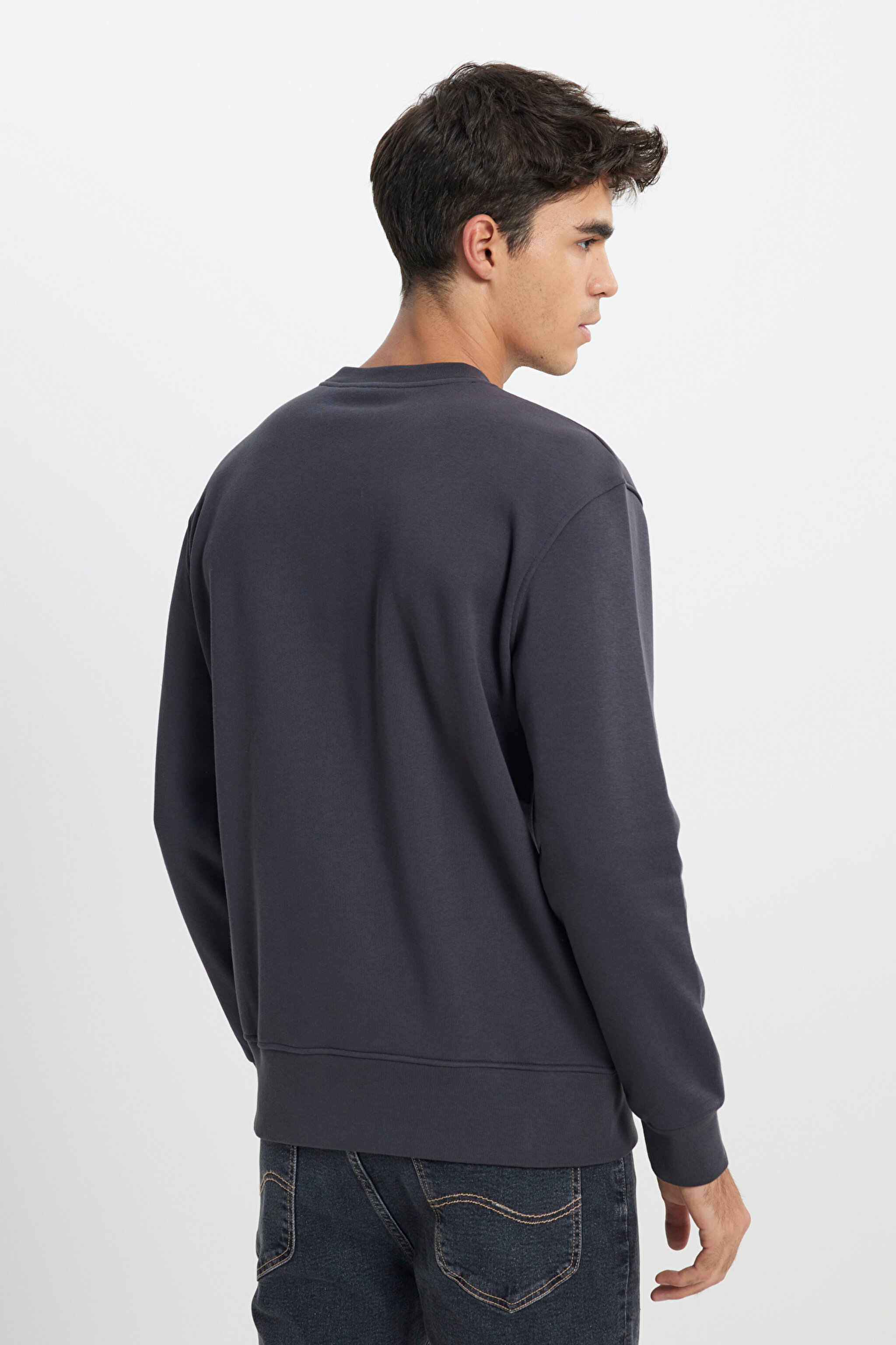 Regular Fit Normal Kesim Bisiklet Yaka İçi Polarlı Antrasit Sweatshirt - Faded Black-L24216633W (görsel 4)