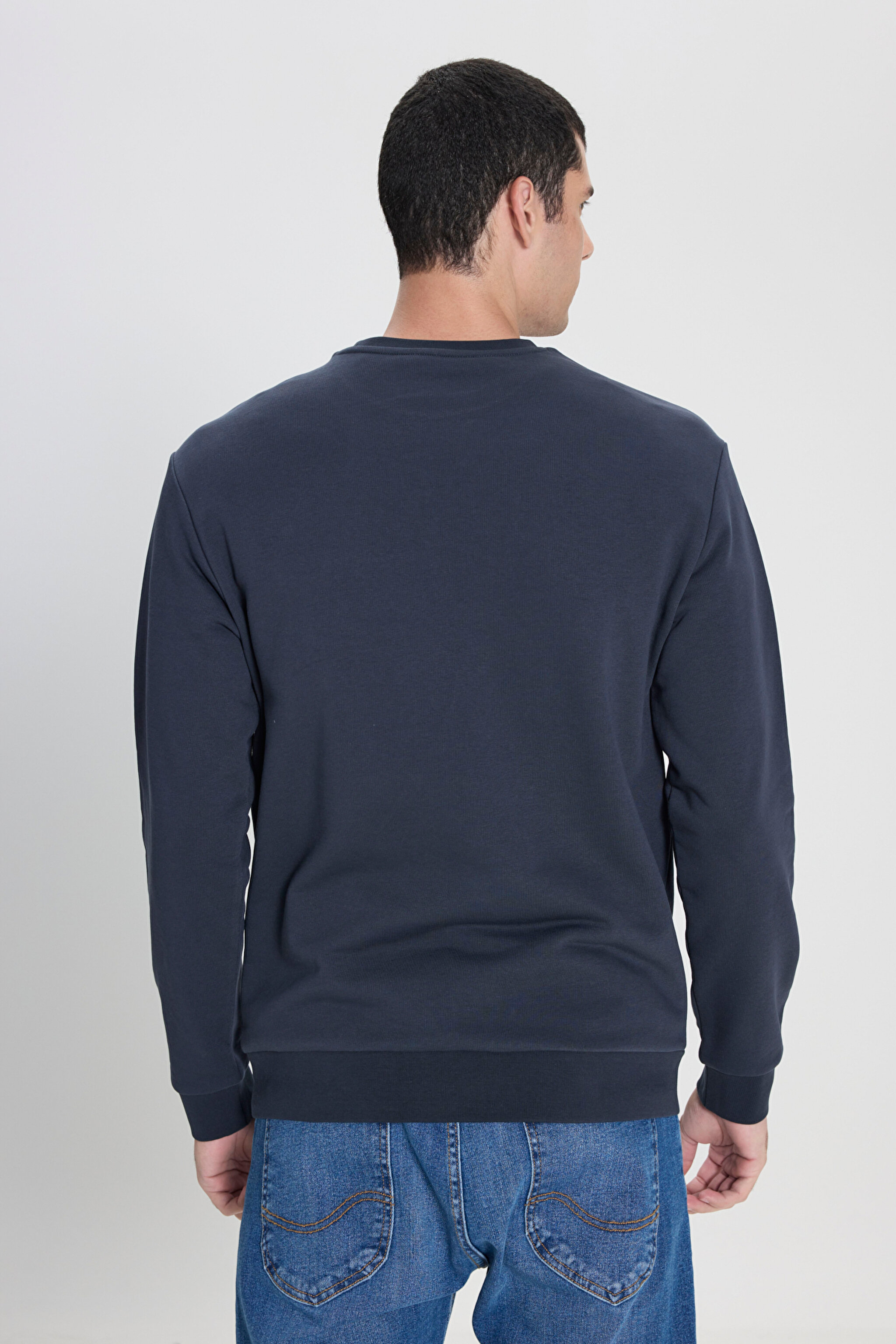 Regular Fit Normal Kesim Bisiklet Yaka Antrasit Sweatshirt - Anthracite-L242502003 (görsel 4)