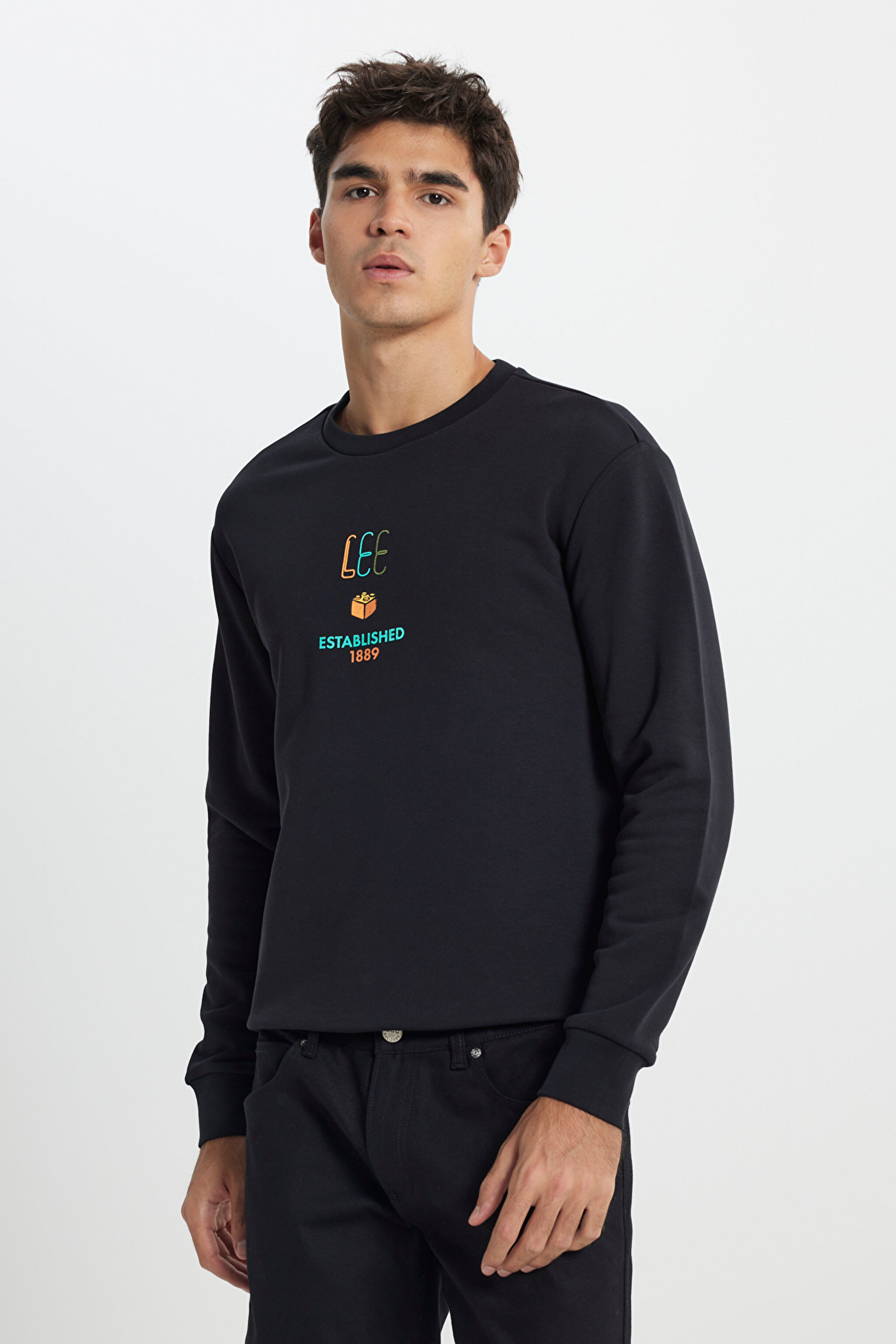 Regular Fit Normal Kesim Bisiklet Yaka Siyah Sweatshirt - Black-L242504001