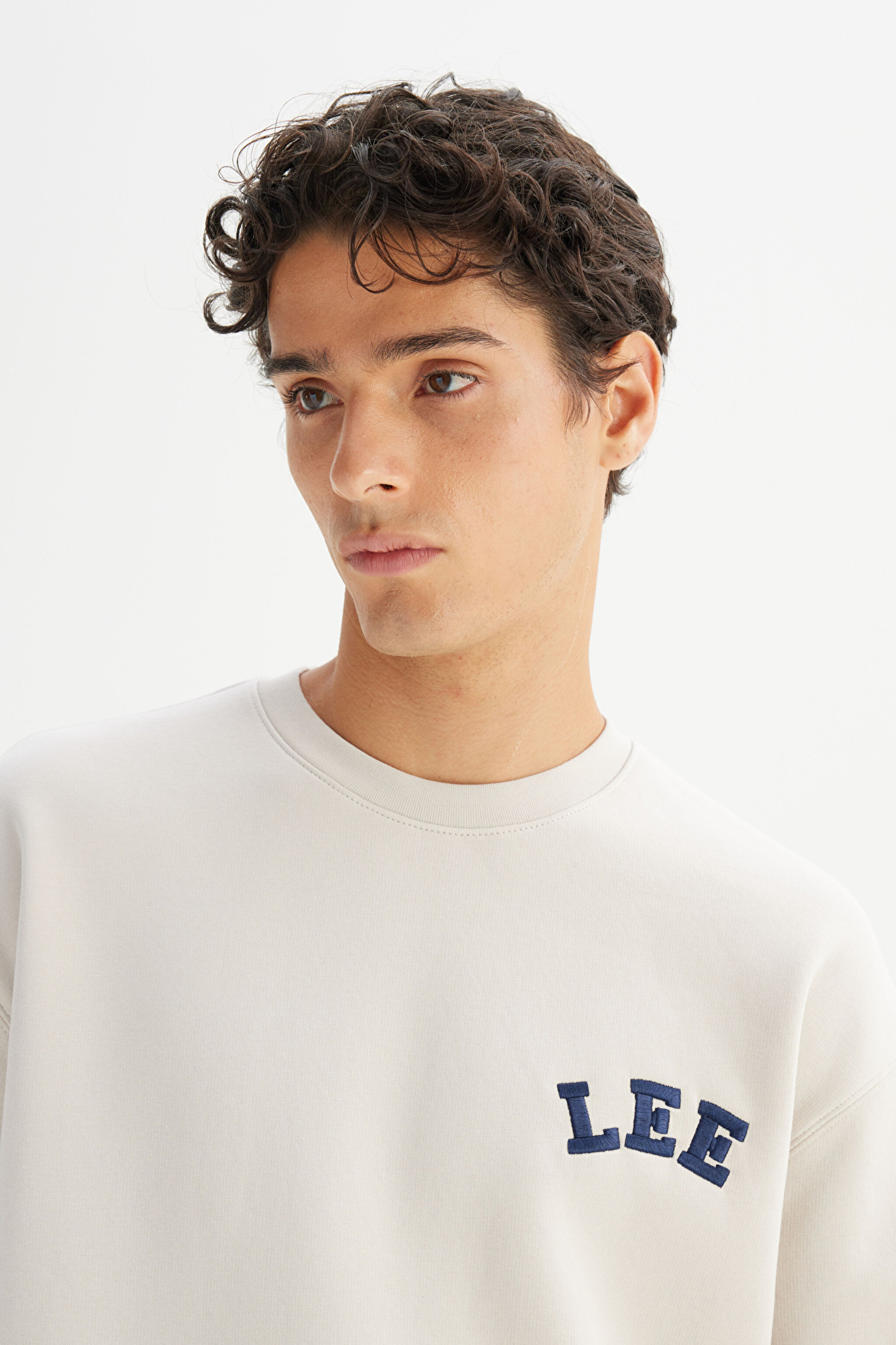Pamuklu Relaxed Fit Rahat Kesim Şardonlu Bisiklet Yaka Logo Detaylı Sweatshirt - Sand-L242547755 (görsel 4)
