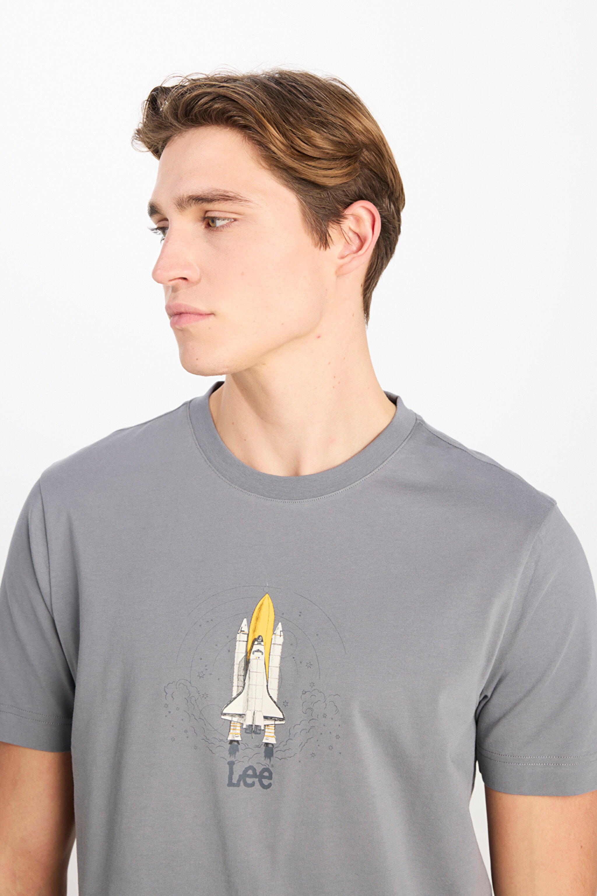 %100 Pamuk Regular Fit Normal Kesim Bisiklet Yaka Baskılı Gri Tişört - Gray-L2510547035 (görsel 4)