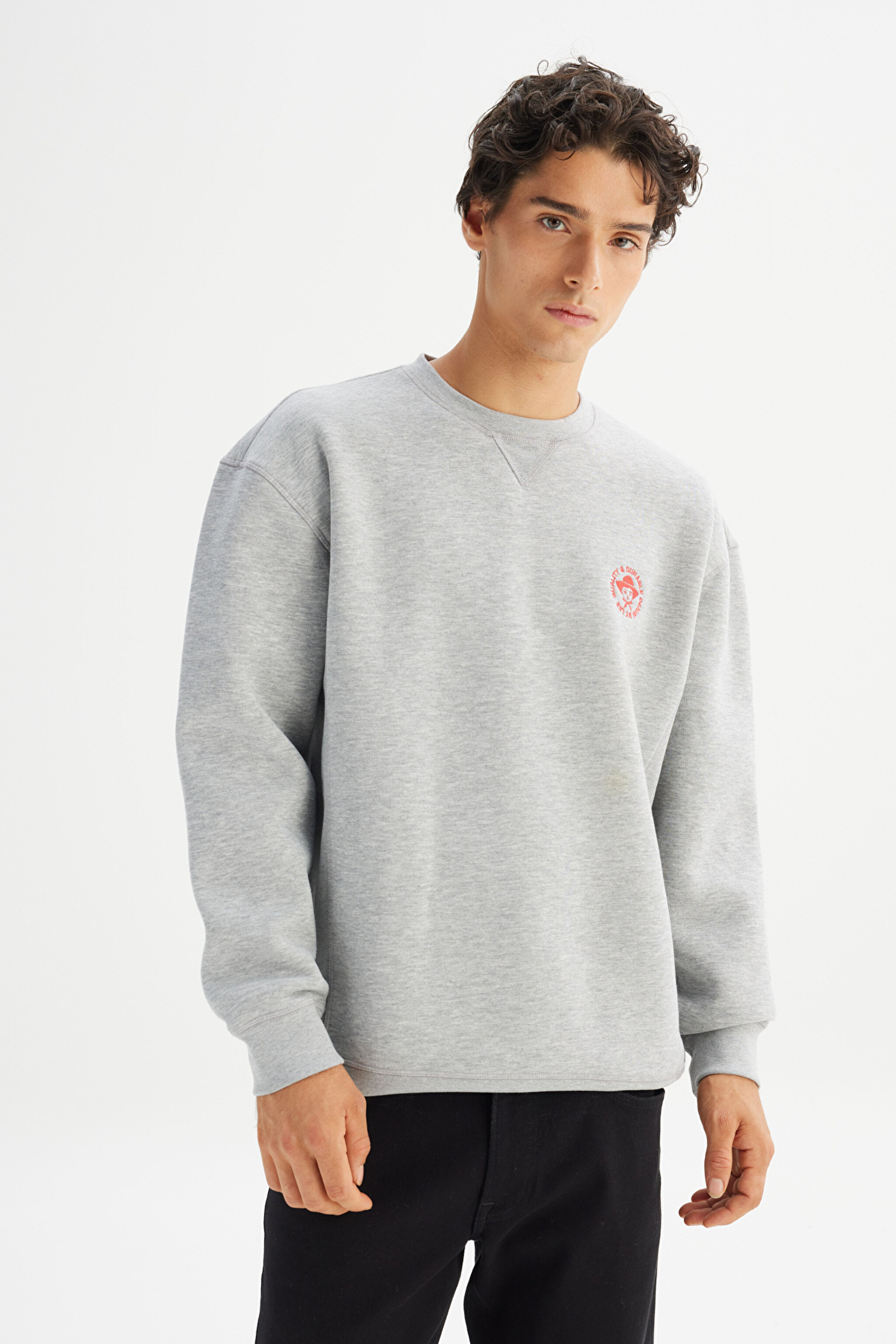 Pamuklu İçi Polarlı Regular Fit Normal Kesim Bisiklet Yaka Baskılı Sweatshirt - GrayMelange-L252009136 (görsel 3)