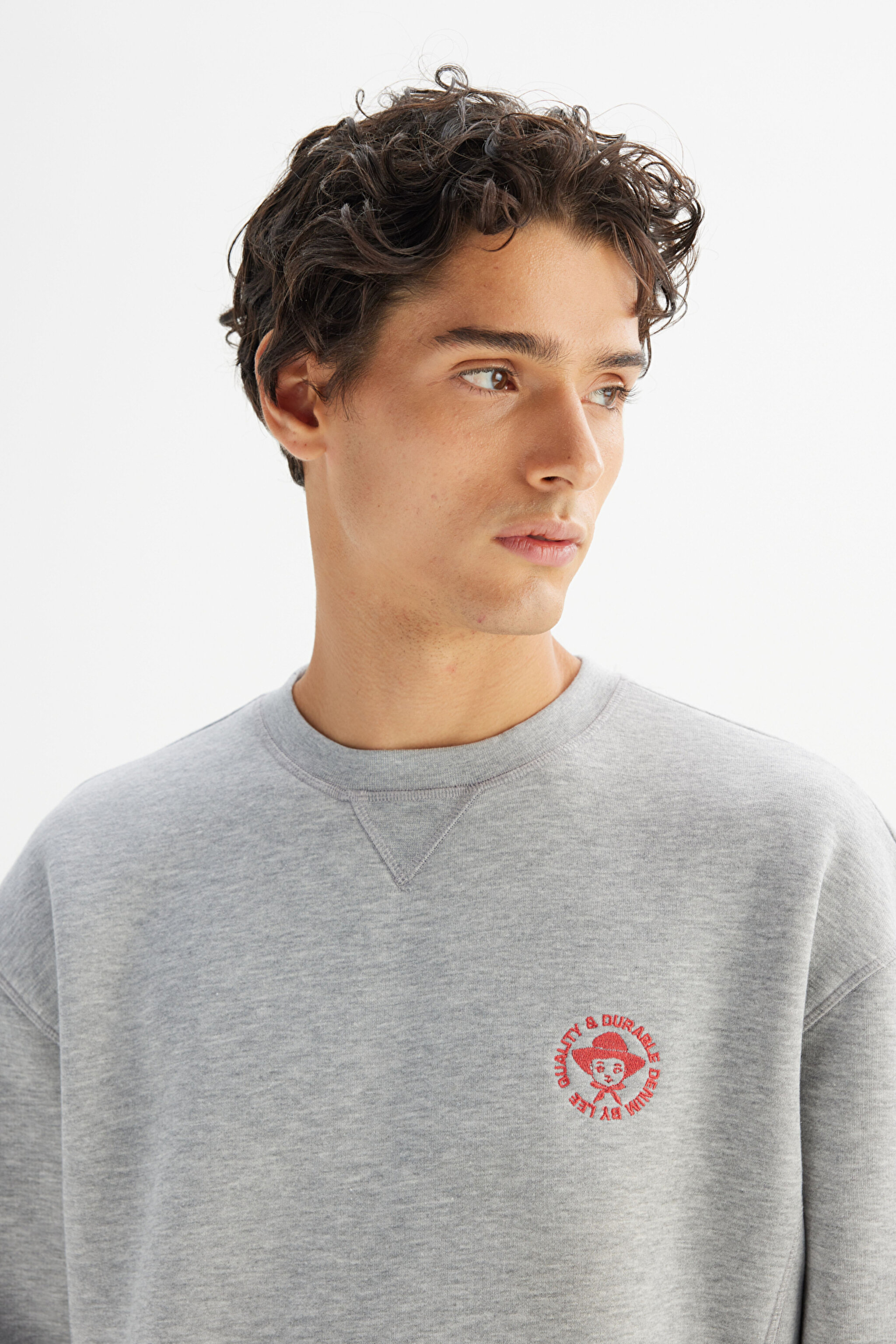 Pamuklu İçi Polarlı Regular Fit Normal Kesim Bisiklet Yaka Baskılı Sweatshirt - GrayMelange-L252009136 (görsel 4)