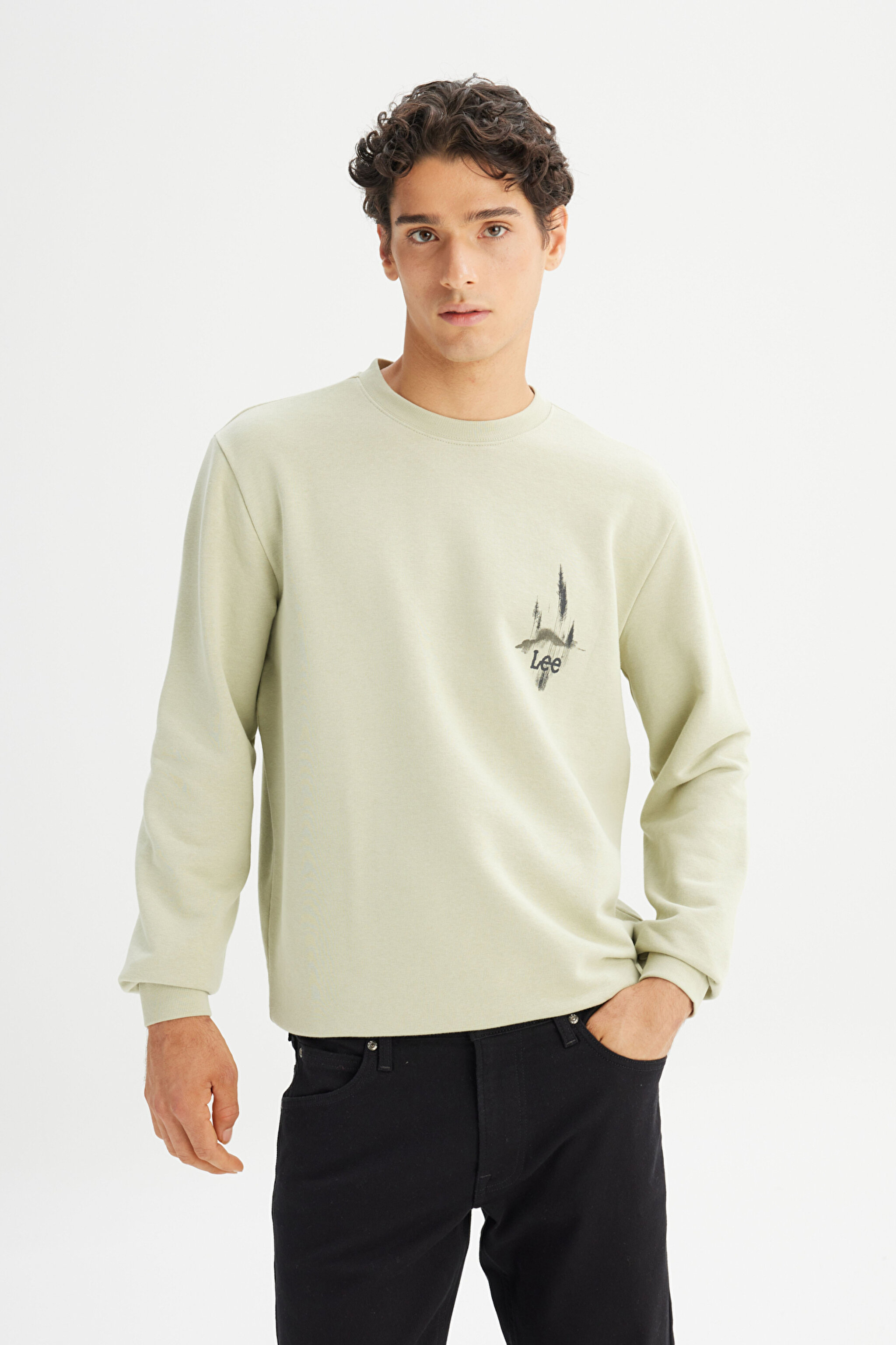 Regular Fit Normal Kesim Bisiklet Yaka Baskılı Mint Yeşili Sweatshirt - Light Green-L2520225299