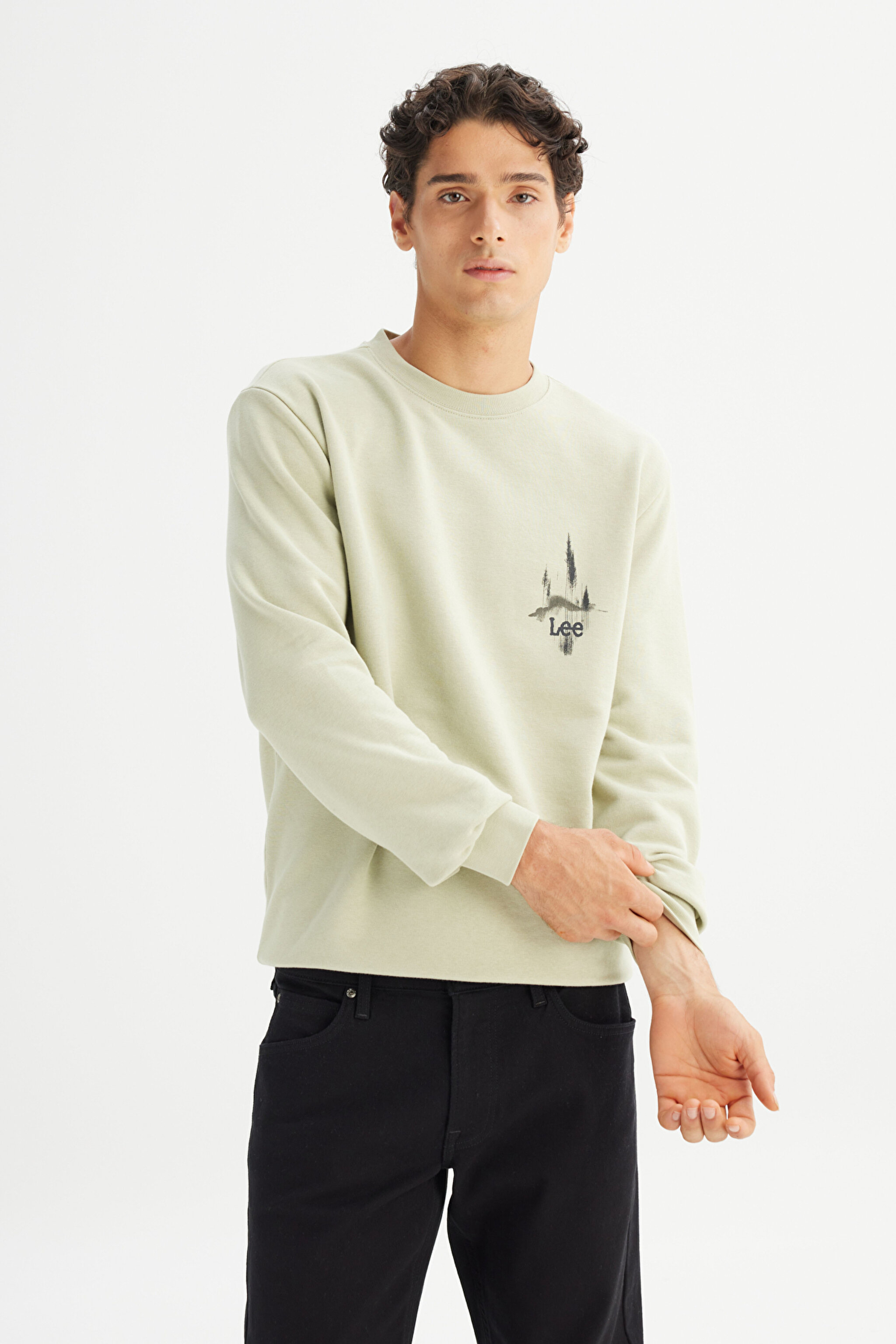 Regular Fit Normal Kesim Bisiklet Yaka Baskılı Mint Yeşili Sweatshirt - Light Green-L2520225299 (görsel 3)