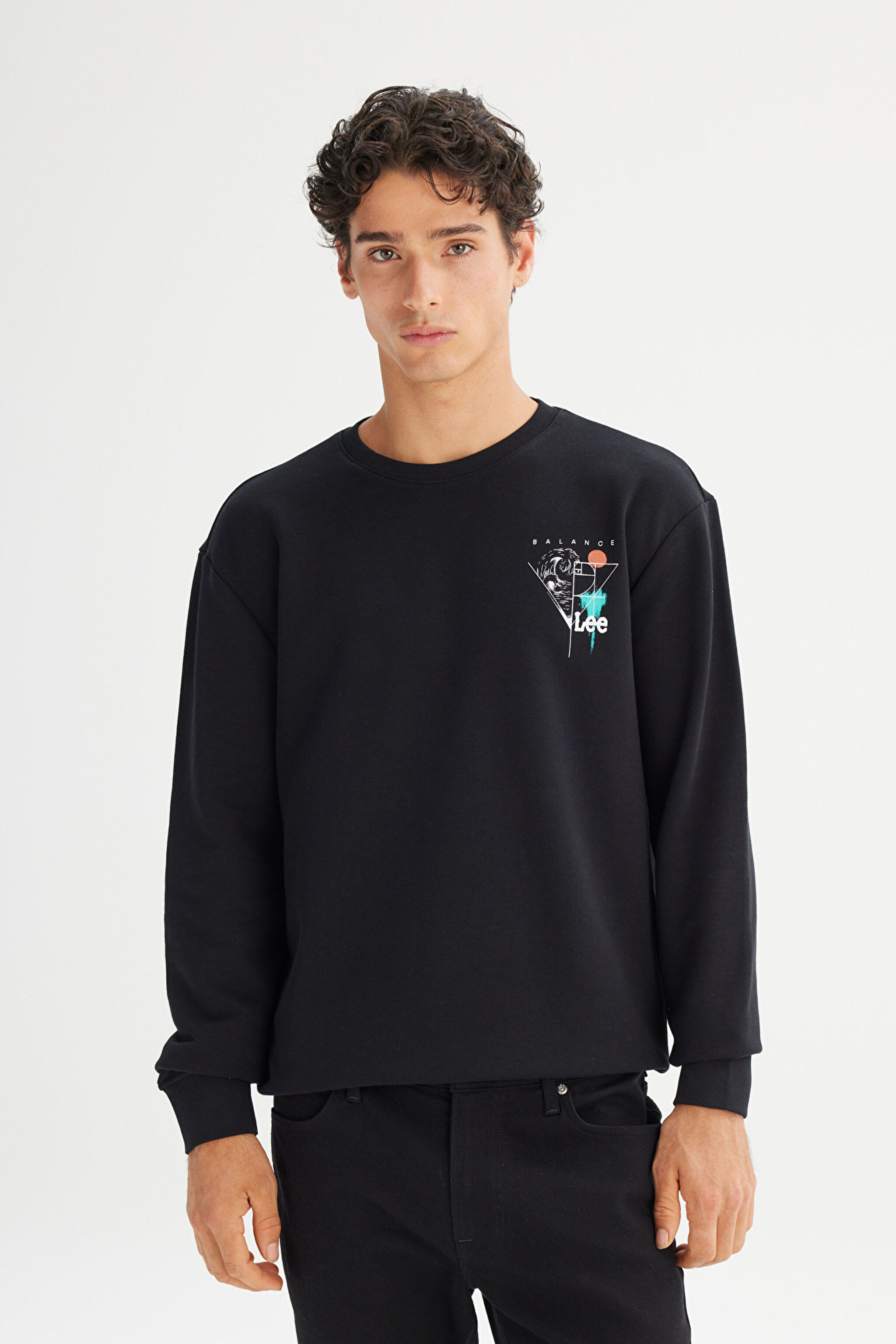 Pamuklu Regular Fit Normal Kesim Bisiklet Yaka Sweatshirt - Black-L2520361001 (görsel 3)