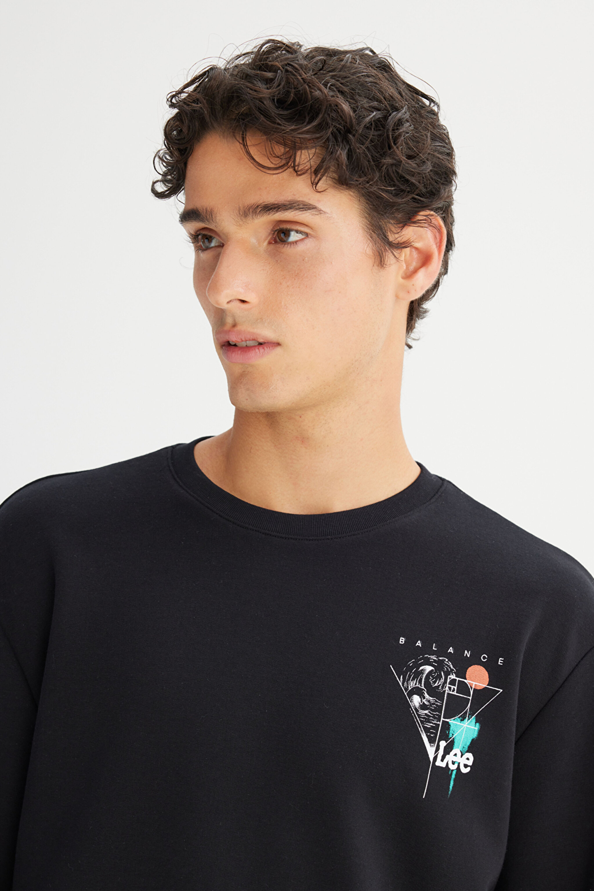 Pamuklu Regular Fit Normal Kesim Bisiklet Yaka Sweatshirt - Black-L2520361001 (görsel 4)