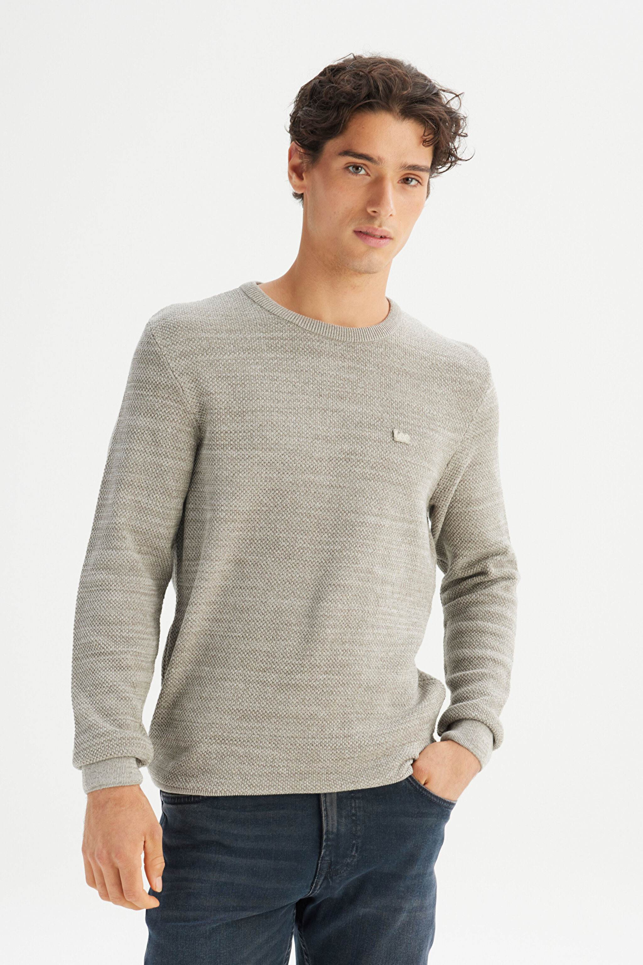 Regular Fit Normal Kesim Bisiklet Yaka Bej Triko Kazak - Beige-L2520364614 (görsel 3)