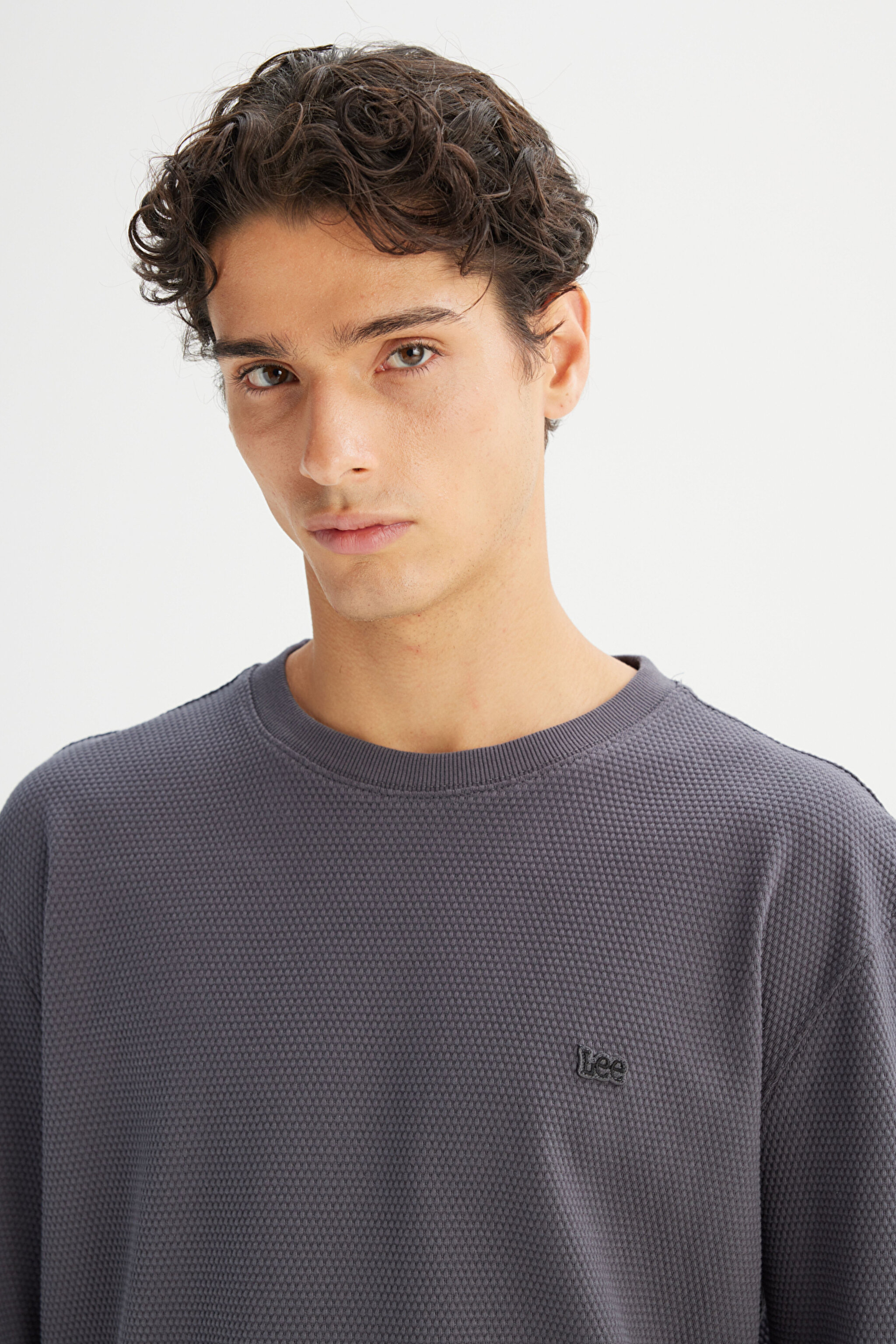 %100 Pamuk Regular Fit Normal Kesim Bisiklet Yaka Logo Detaylı Sweatshirt - Gray-L2520367035 (görsel 4)