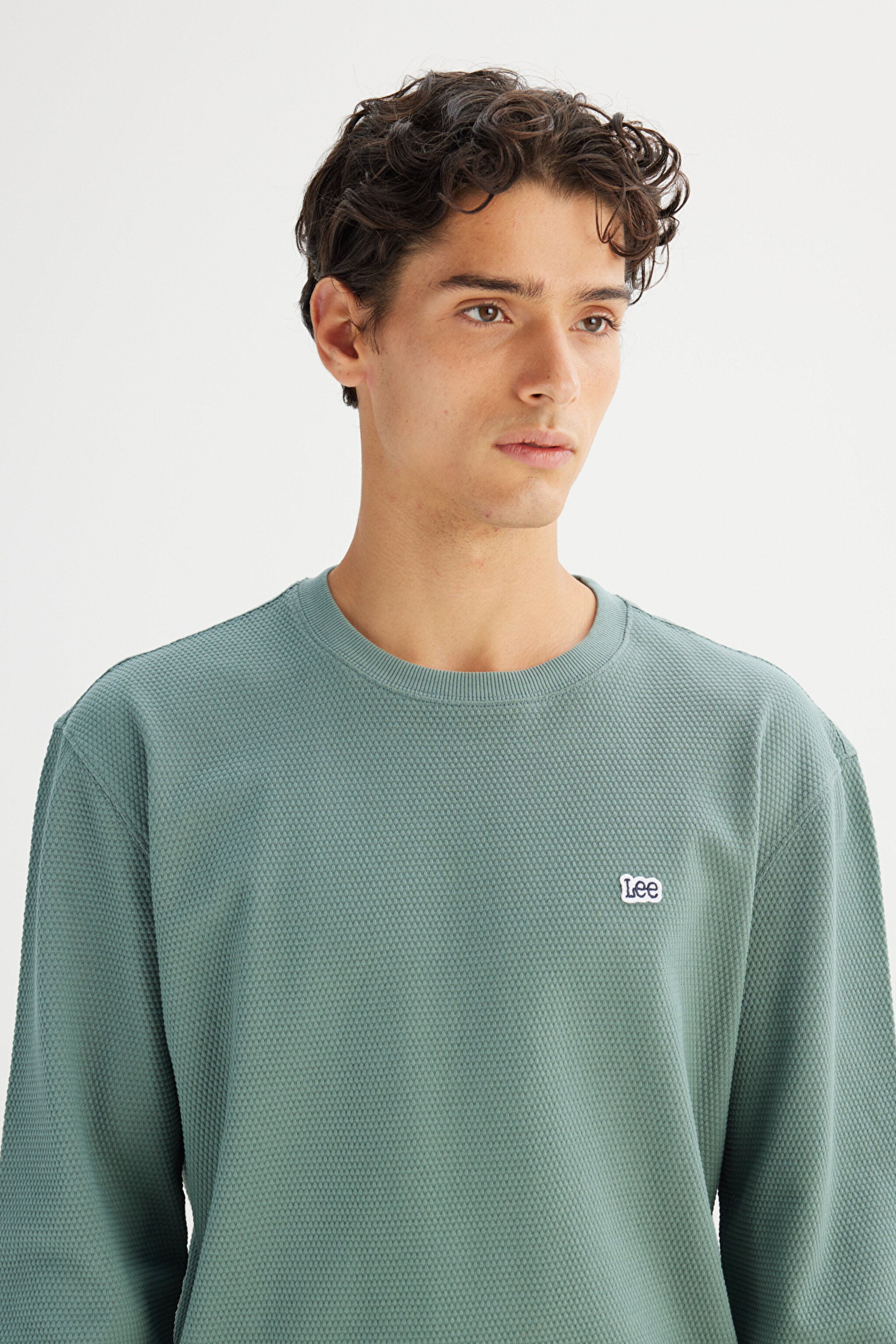 %100 Pamuk Regular Fit Normal Kesim Bisiklet Yaka Logo Detaylı Sweatshirt - KHAKI-L2520367801 (görsel 4)