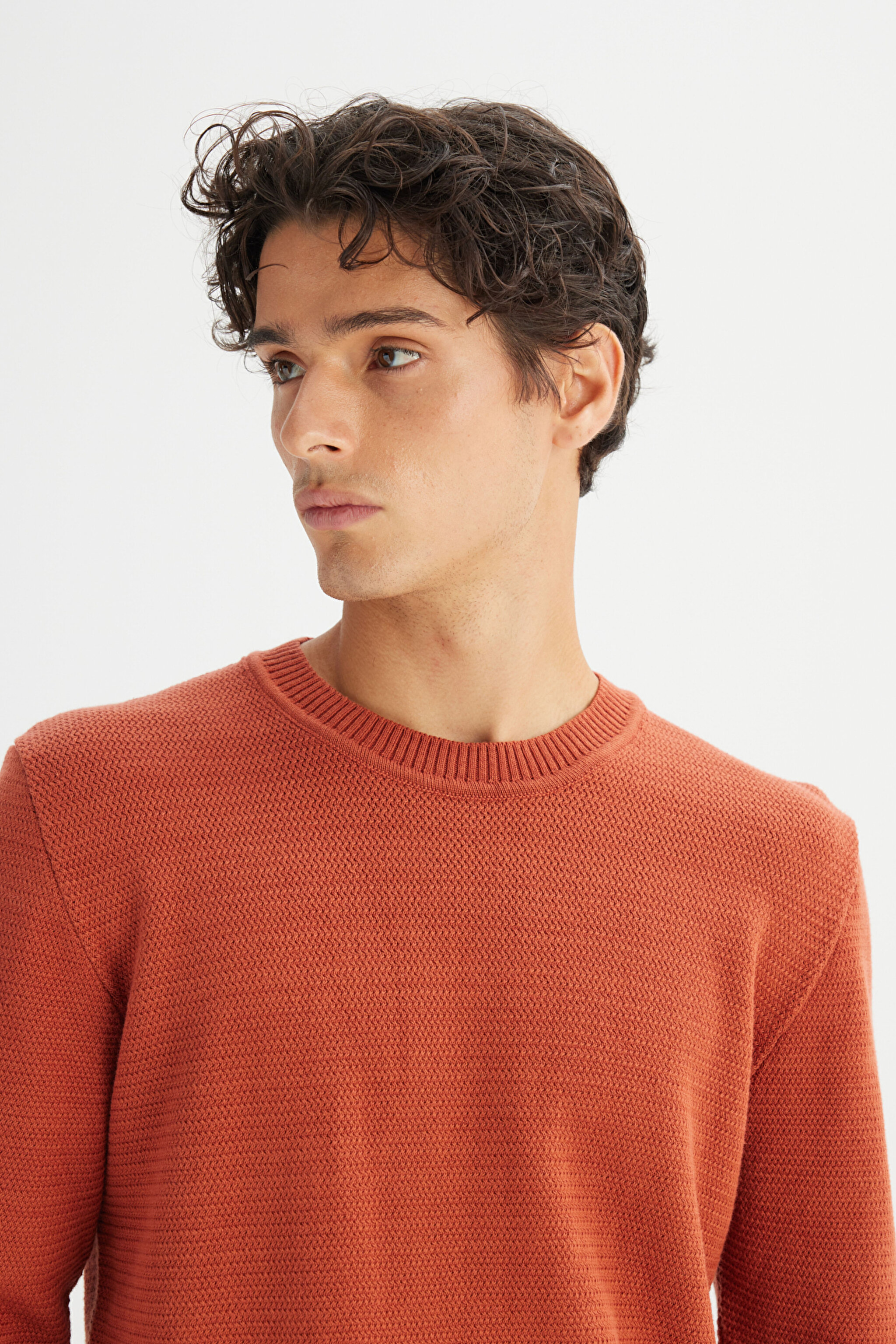 %100 Pamuk Regular Fit Normal Kesim Bisiklet Yaka Triko Kazak - Brick-L2520373222 (görsel 4)