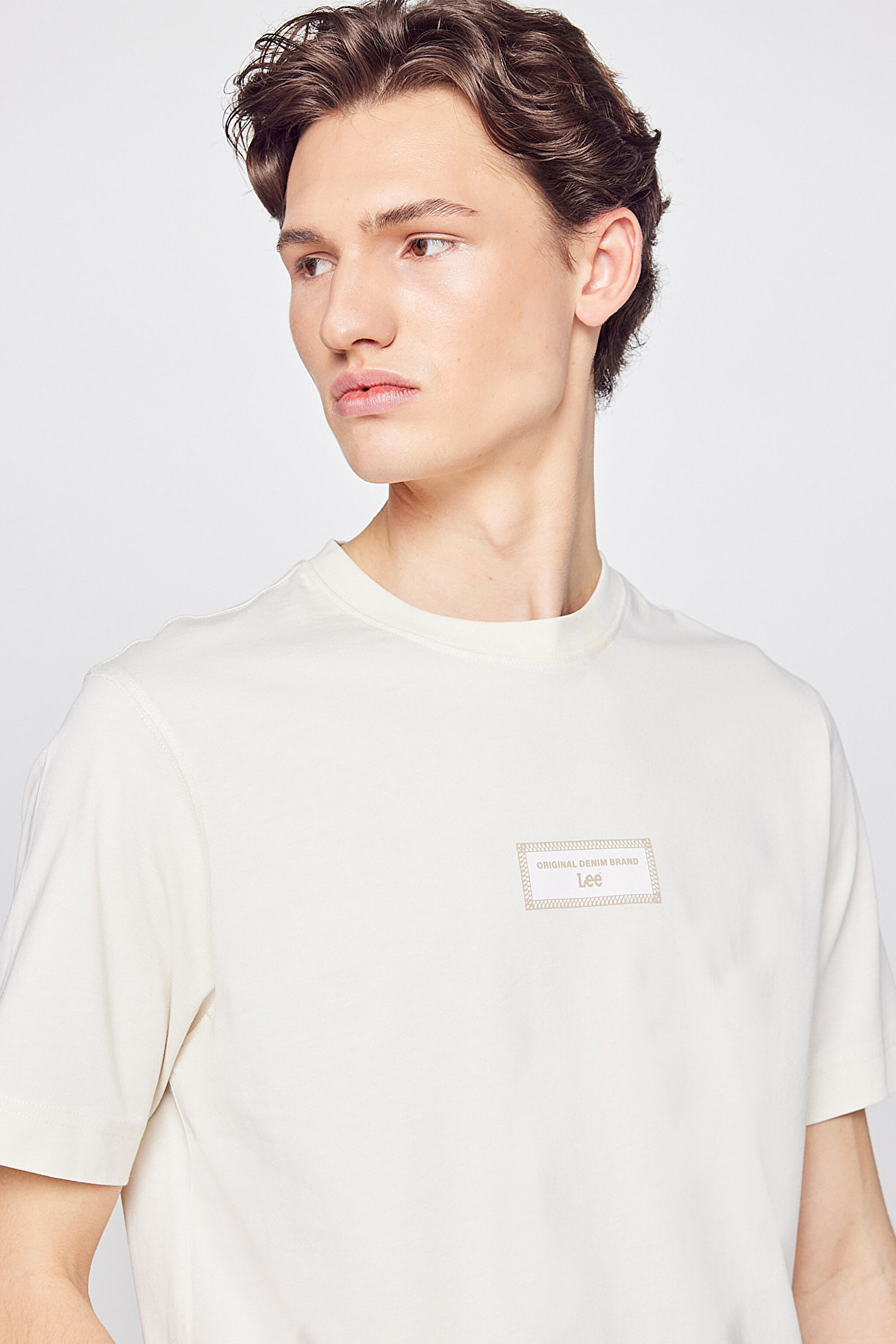 %100 Pamuk Nefes Alan Kumaş Regular Fit  Logo Detaylı Tişört - Beige-L2610071614 (görsel 4)