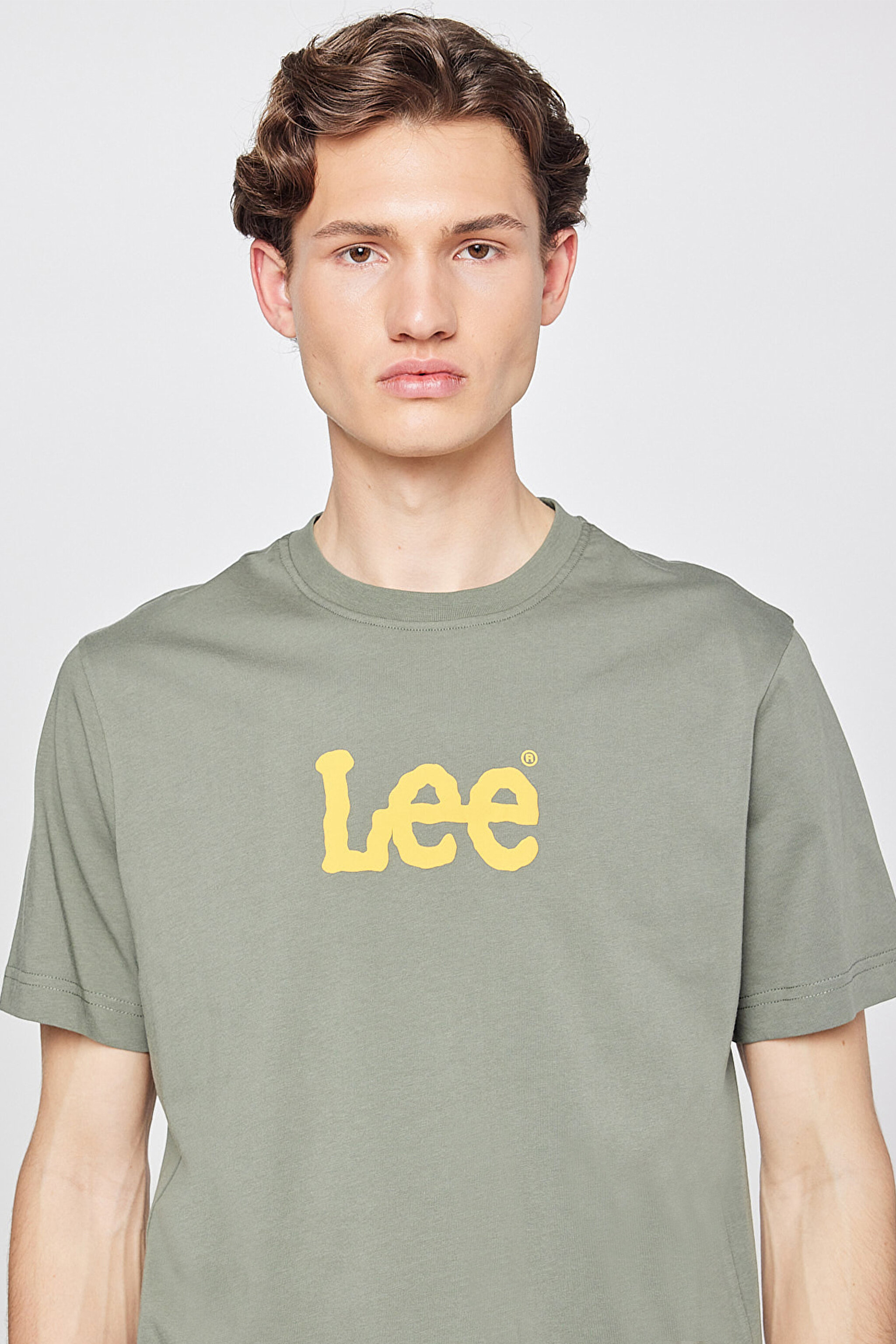 %100 Pamuk Regular Fit Normal Kesim Logo Detaylı Tişört - Khaki-L2610100801 (görsel 4)