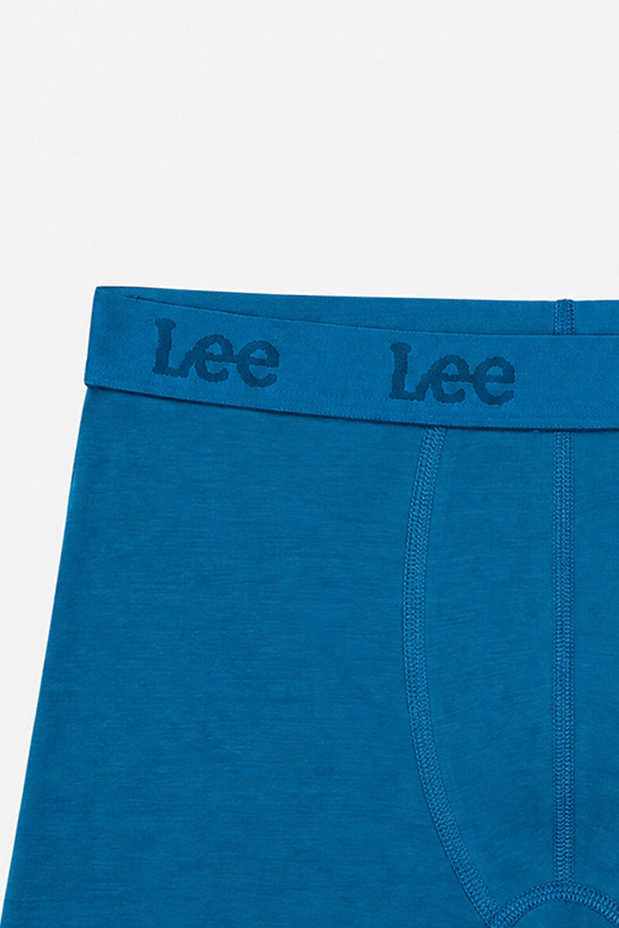 Regular Fit Normal Kesim Mavi Tekli Boxer - Blue-L2710261400 (görsel 2)