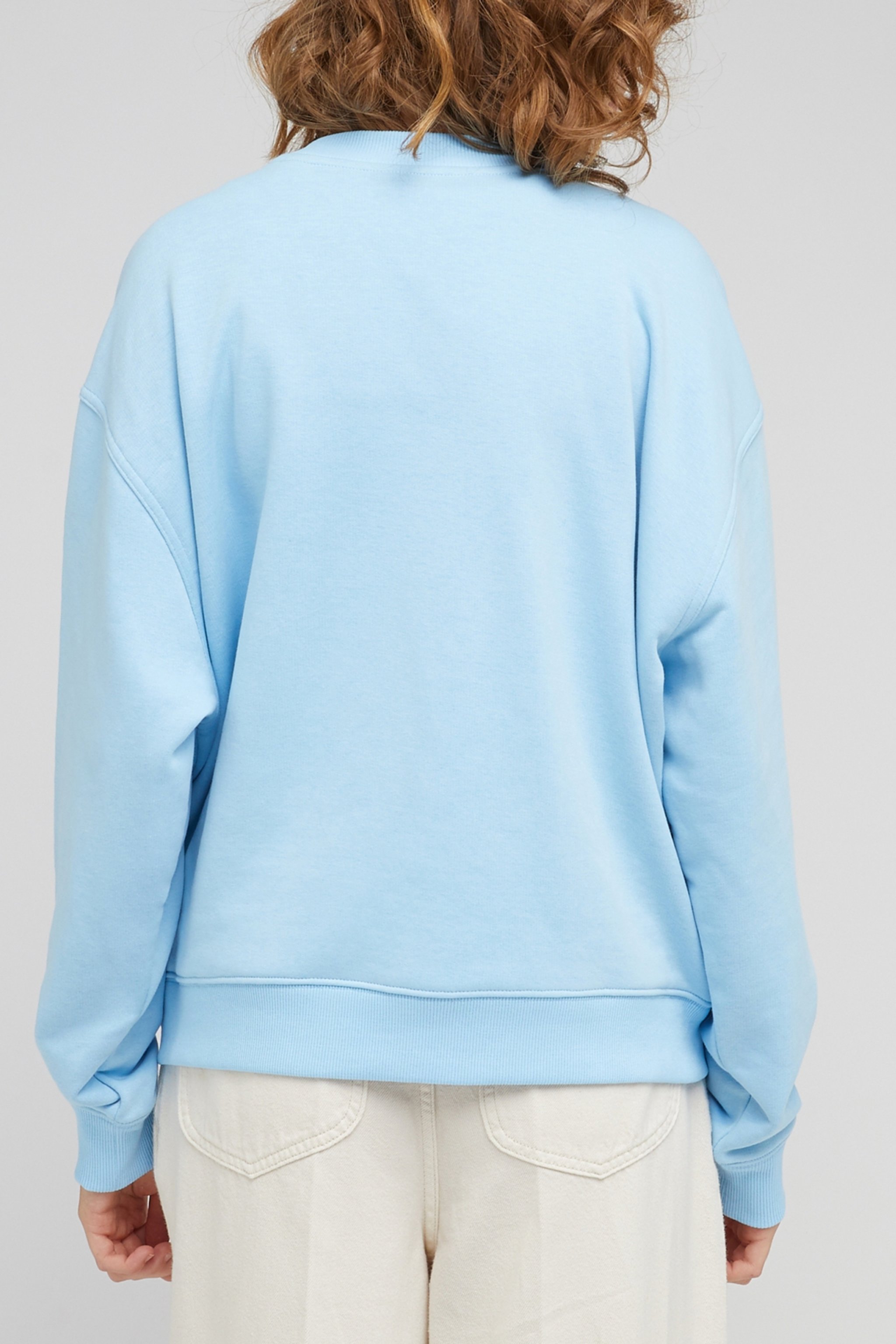 Regular Fit Normal Kesim Bisklet Yaka Mavi Sweatshirt - Shasta Blue-L53LSRA32 (görsel 5)