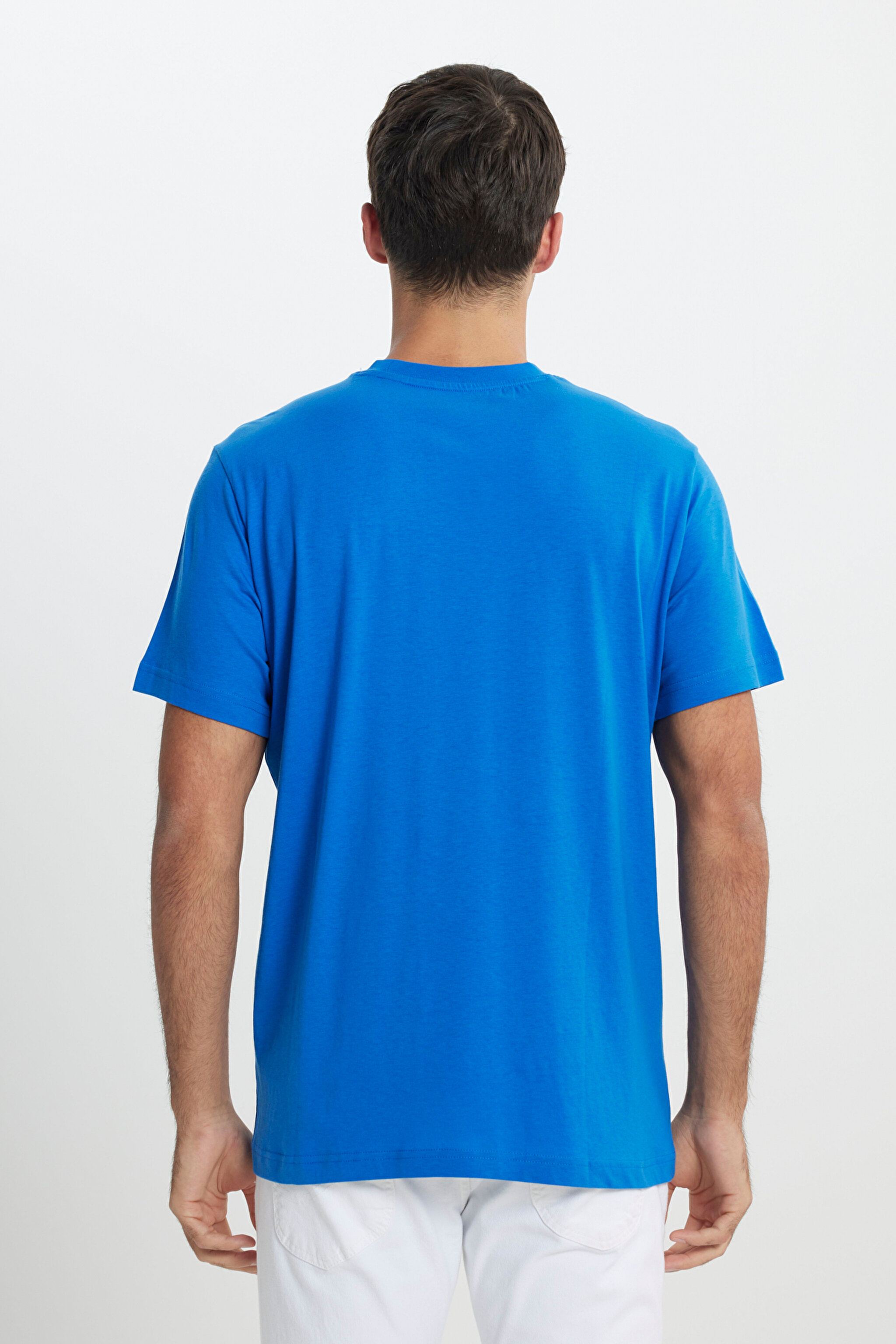 Regular Fit Normal Kesim %100 Pamuk Bisiklet Yaka Mavi Tişört - Ferris-L60UFQA13 (görsel 5)