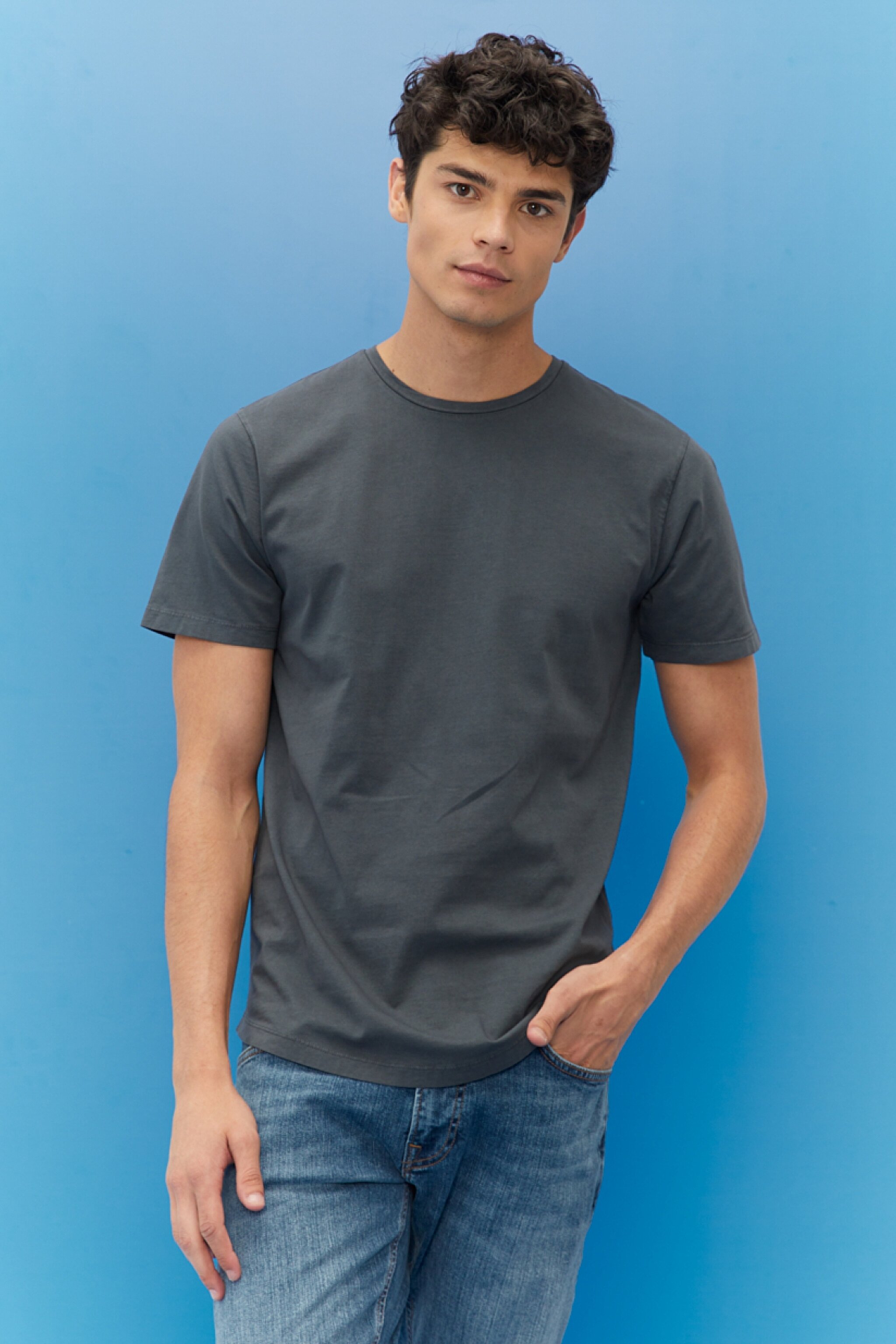 Regular Fit Normal Kesim %100 Pamuk Bisiklet Yaka Tişört