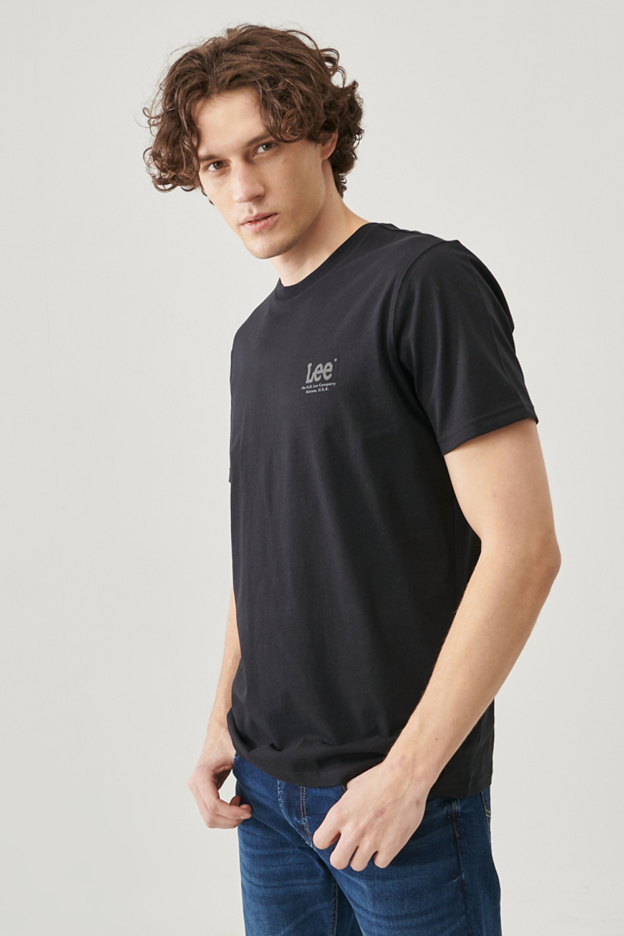 Regular Fit Normal Kesim Bisiklet Yaka Siyah Tişört - Black-L68SFE01 (görsel 3)