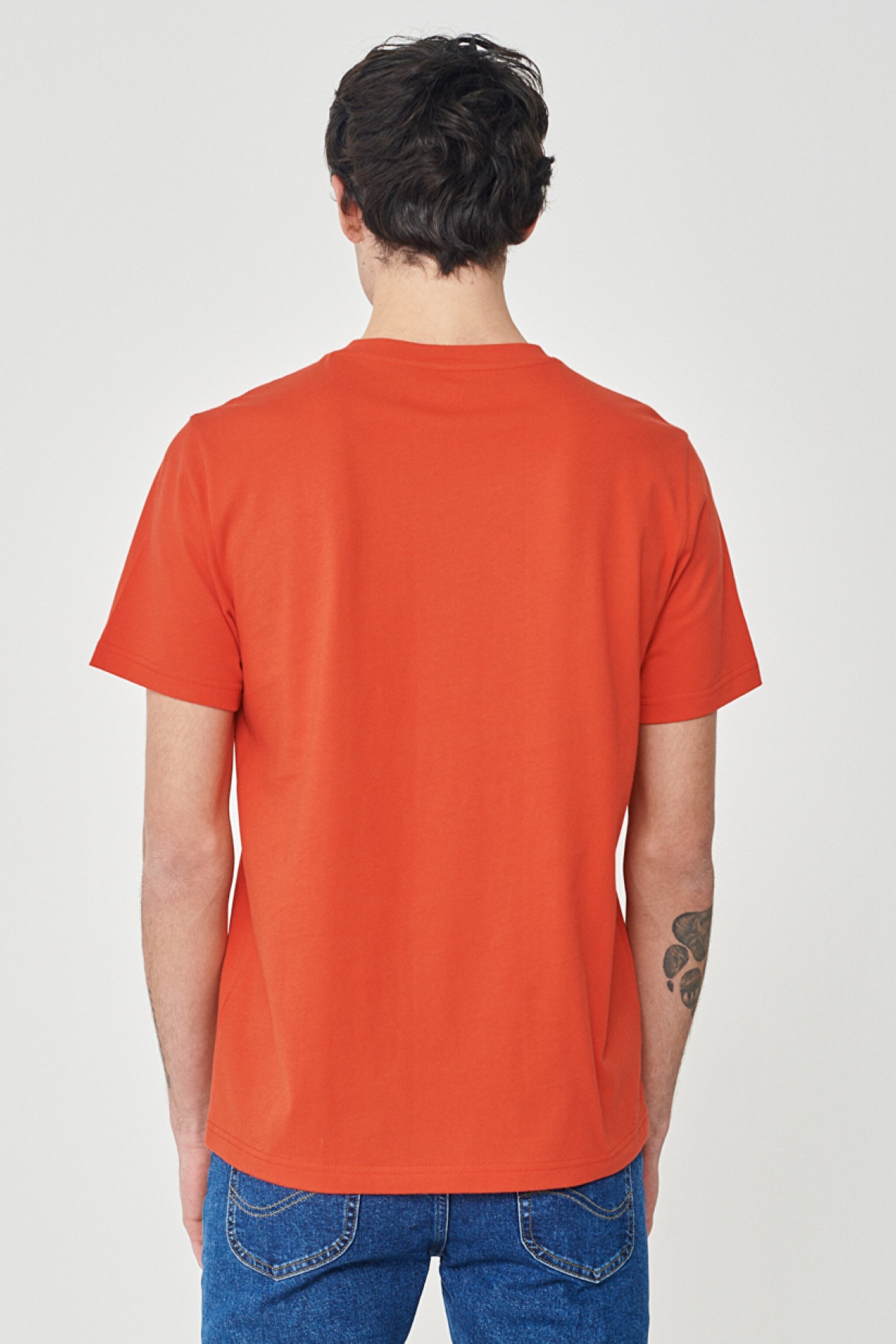 Regular Fit Normal Kesim %100 Pamuk Bisiklet Yaka Mercan Tişört - Coral-L68TYS512 (görsel 6)